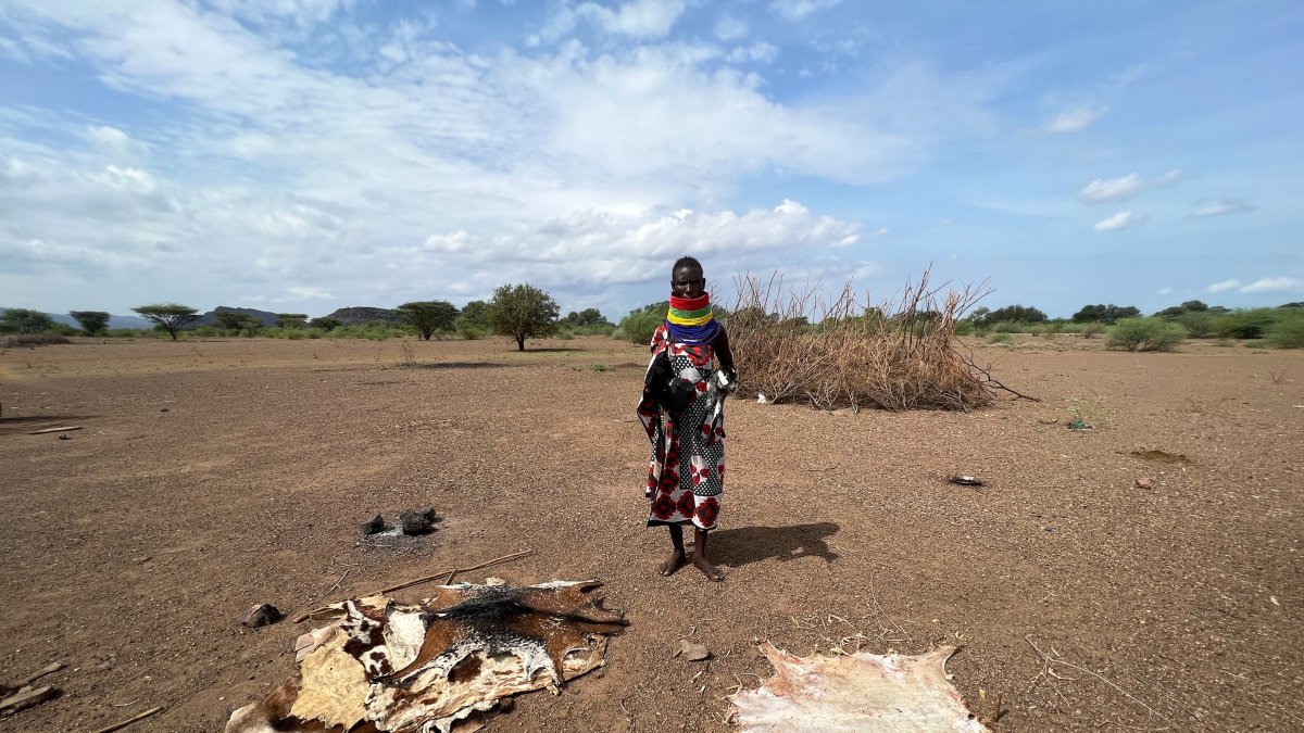 Dürre in Kenia: Die Bevölkerung kämpft ums Überleben, die Nothilfe stockt