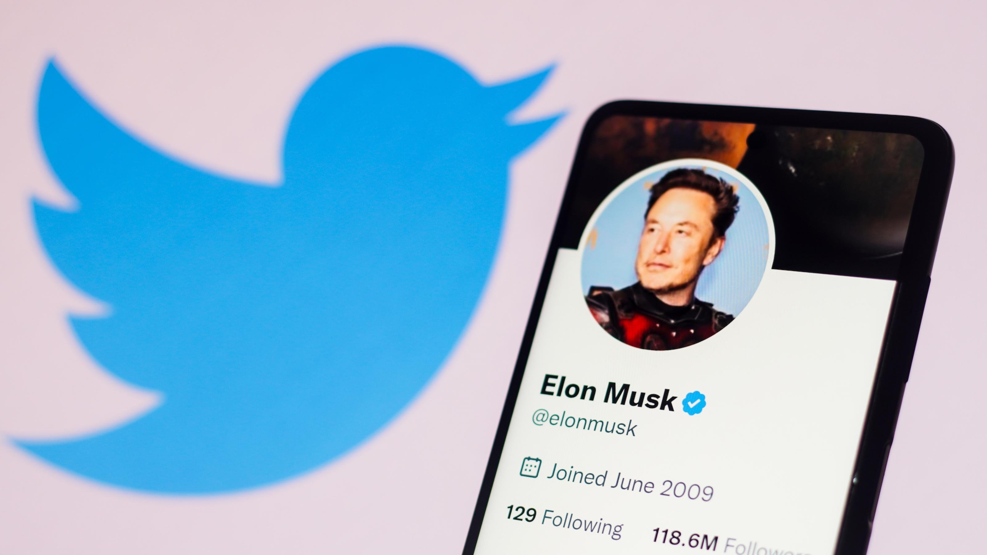 Symbolbild von Elon Musks Twitter-Account mit dem Twitter-Icon.
