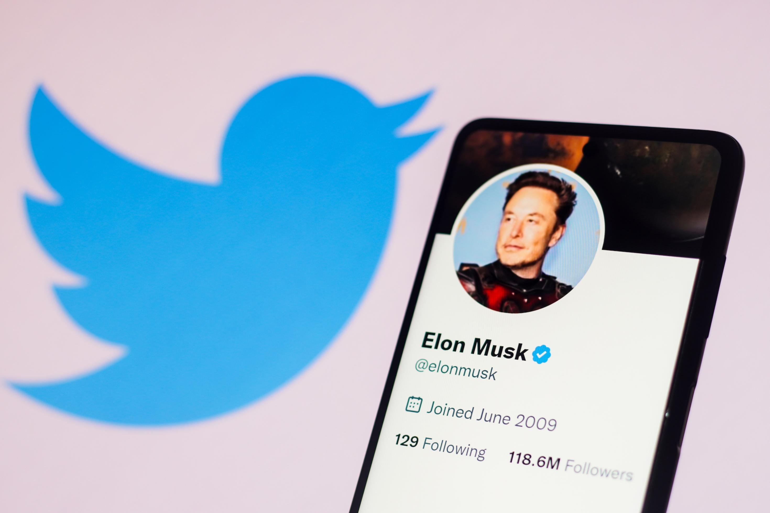 Symbolbild von Elon Musks Twitter-Account mit dem Twitter-Icon.