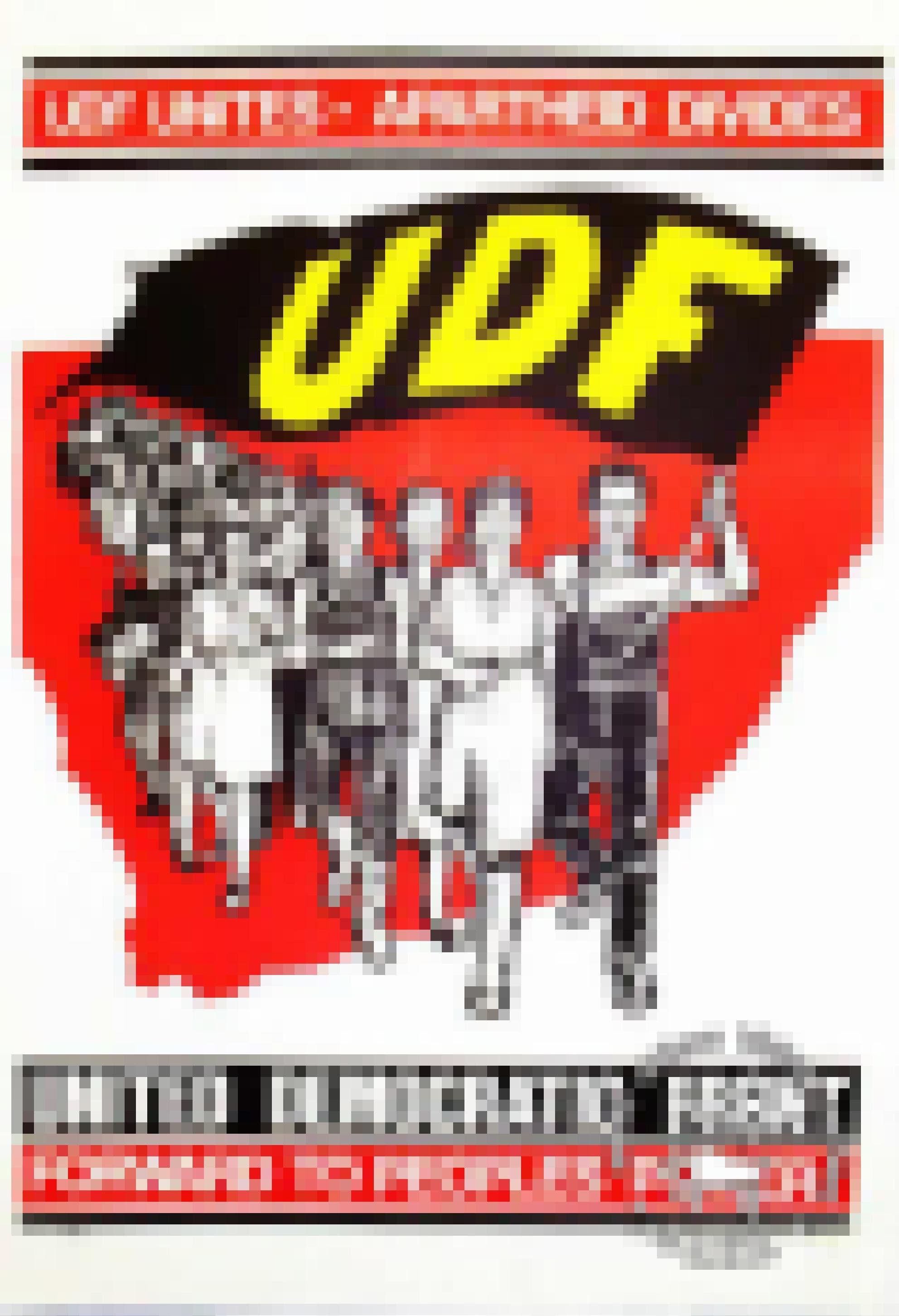 Ein historisches Poster der United Democratic Front mit dem Slogan: UDF unites, Apartheid divides.
