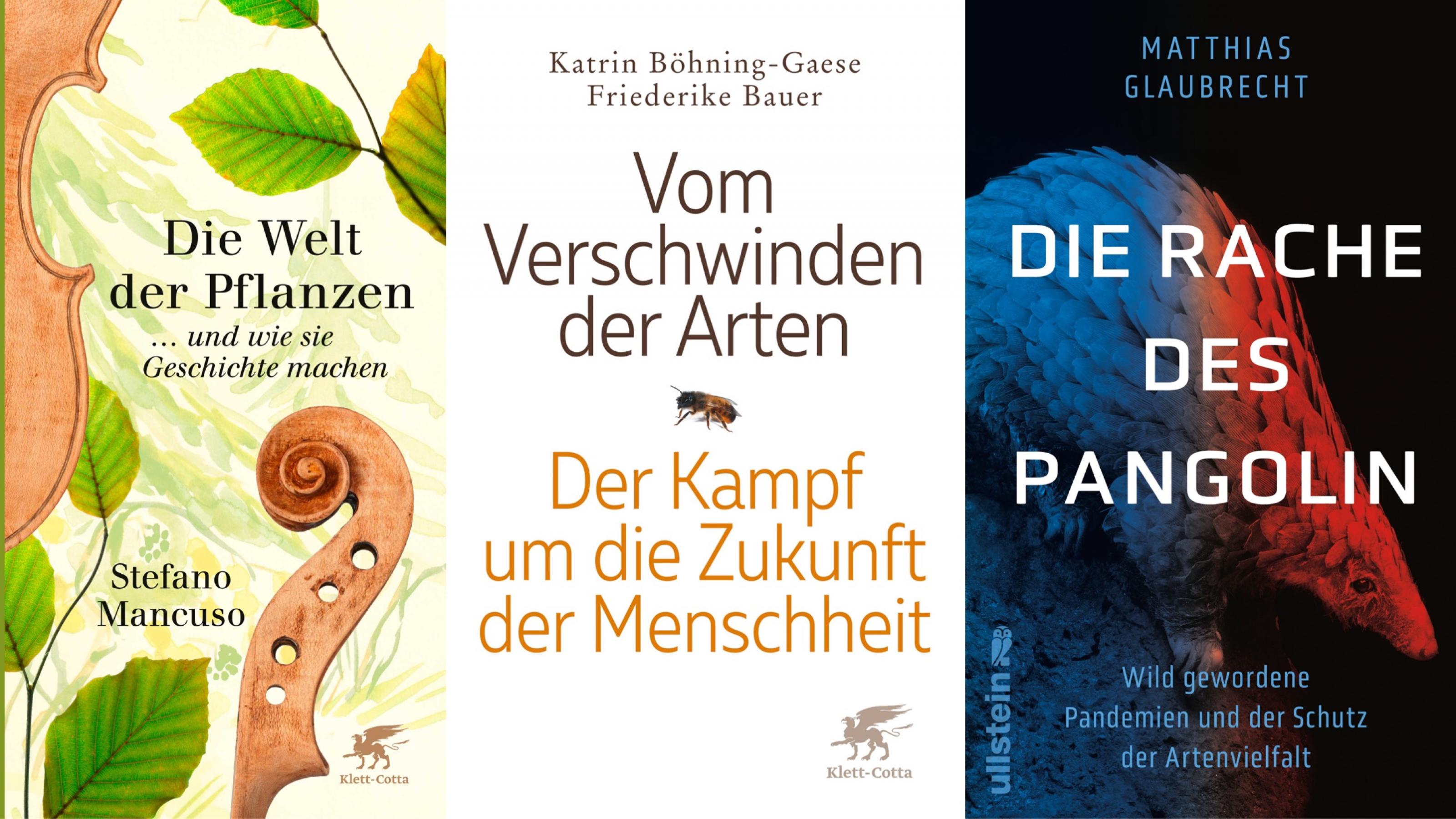 Buchcover der drei besprochenen Titel.