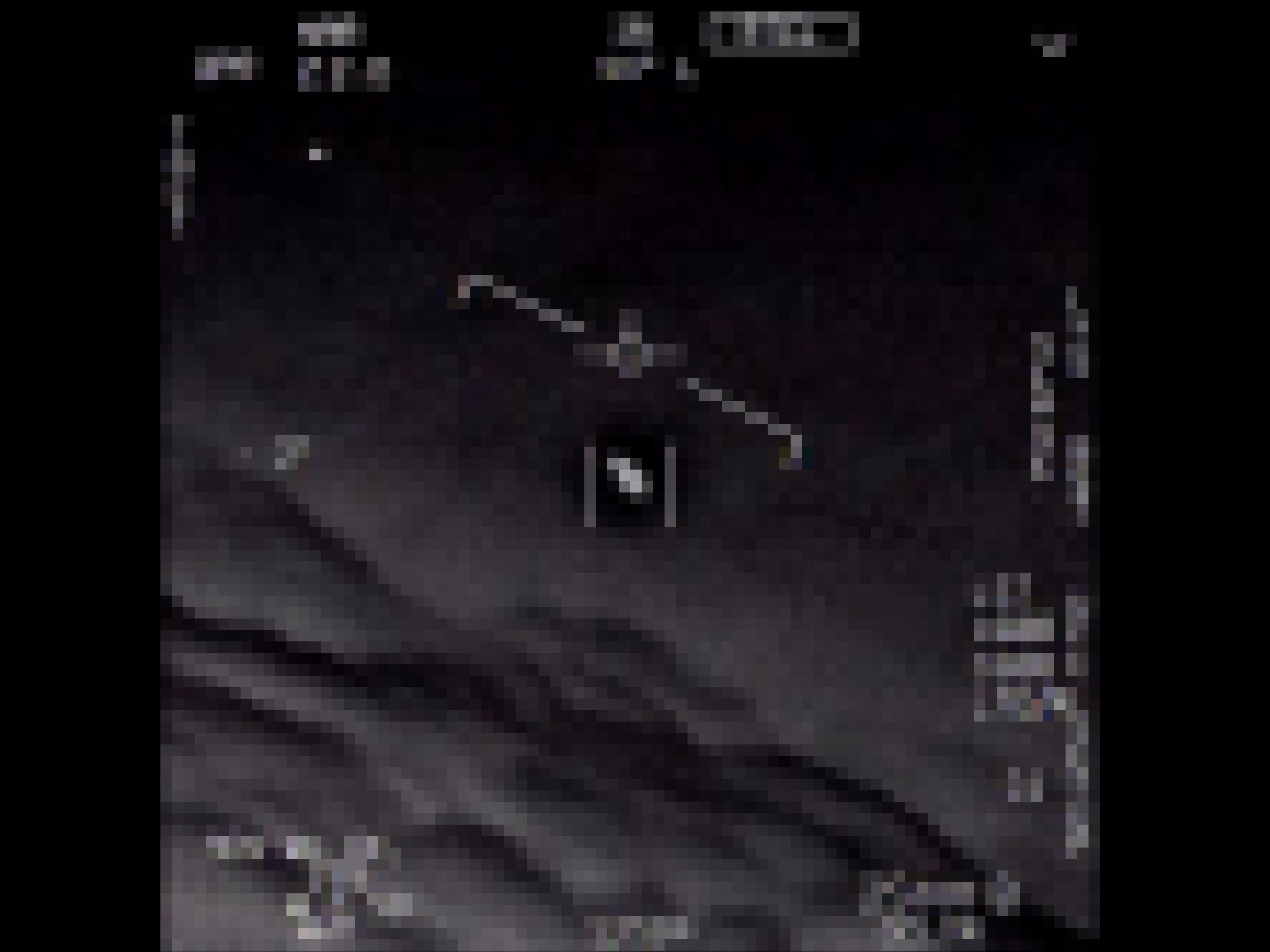 Foto aus einem Video des US-Militärs, das aus dem Cockpit eines Kampfpiloten stammt. Im Visier ein kleiner schwarzer Fleck, der sich mit großer Geschwindigkeit bewegte.