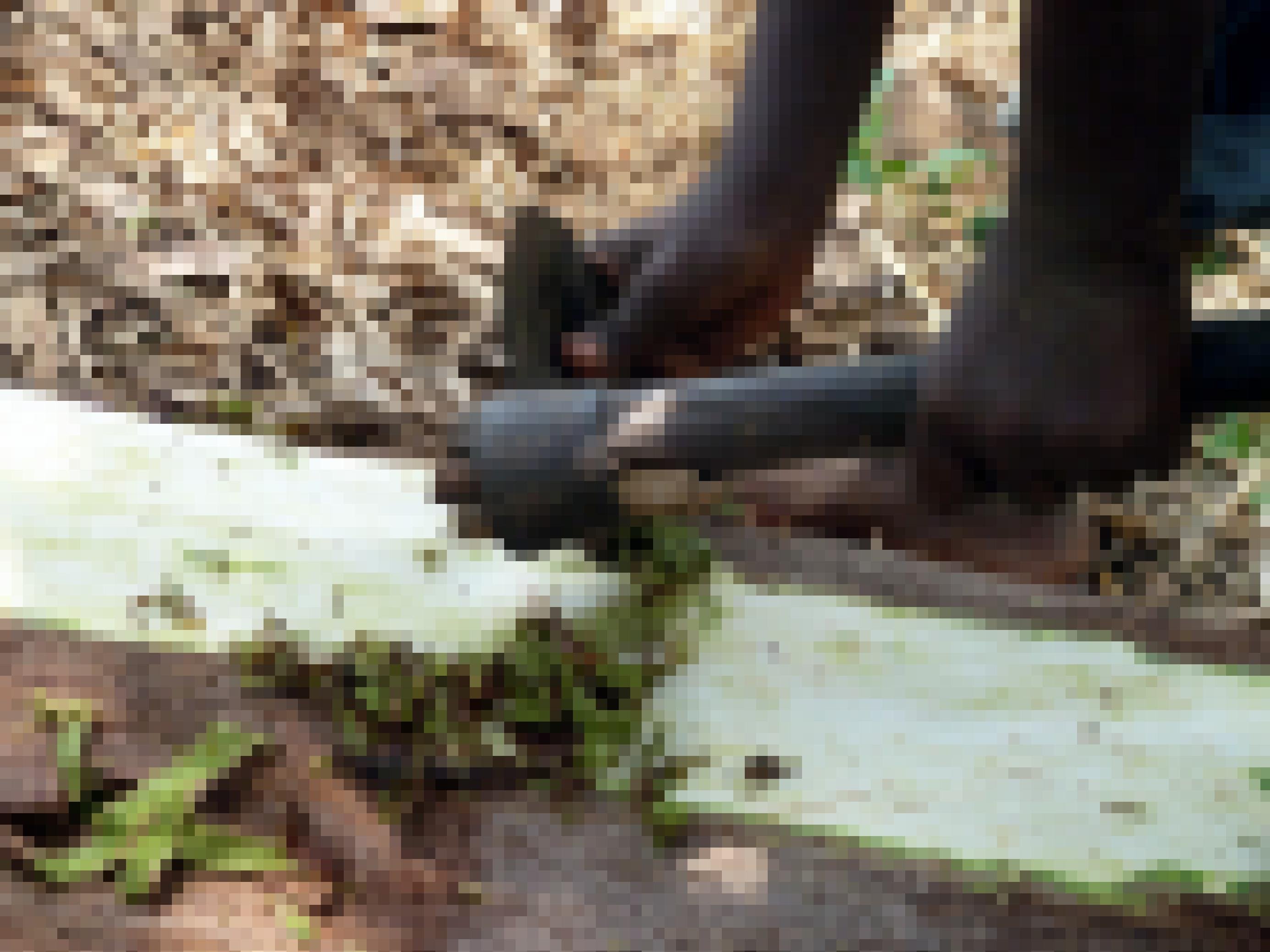 Das Foto zeigt in einer Nahaufnahme, wie die aeußere Schicht der Baumrinde abgeschabt wird.