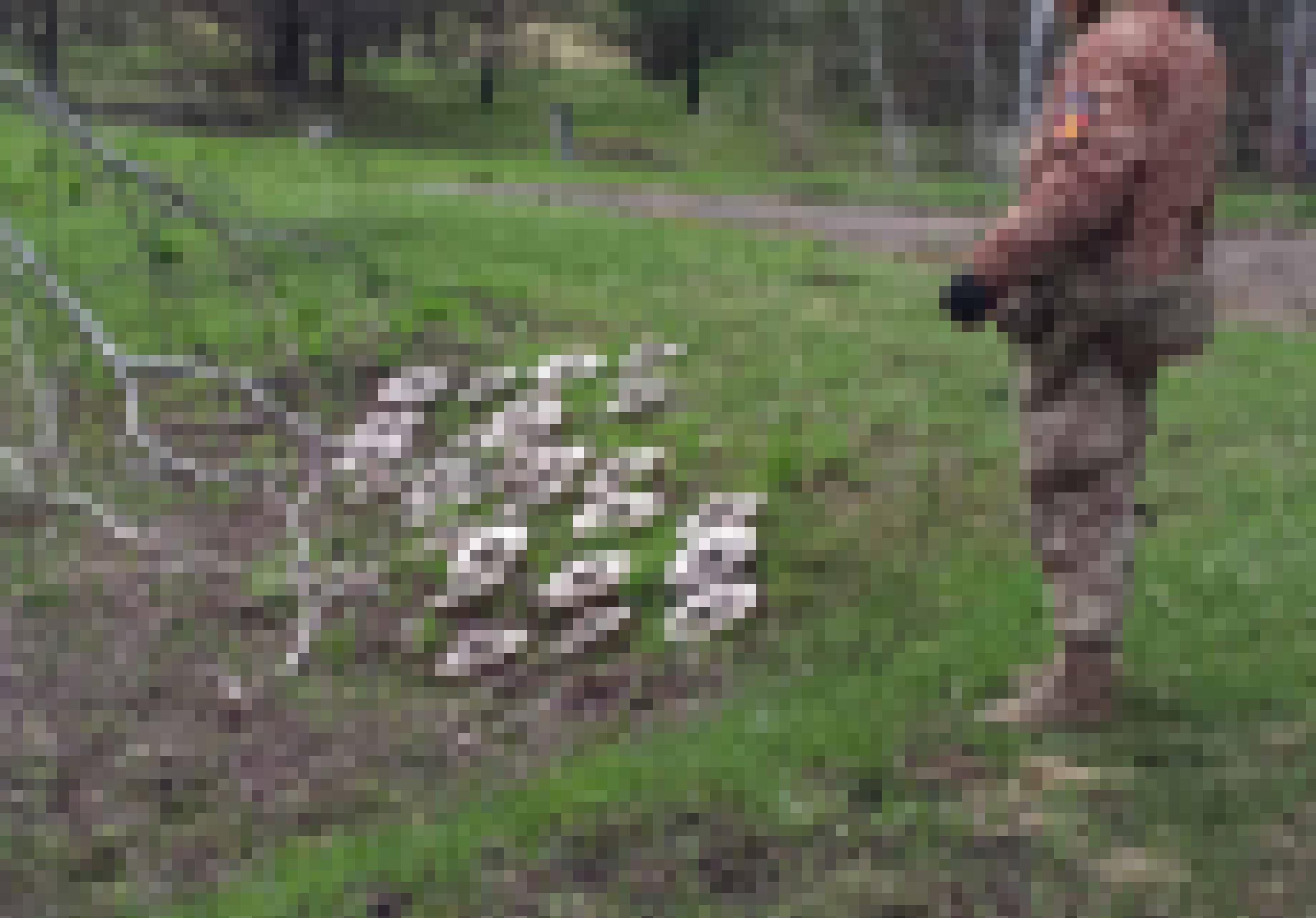 Ein Soldat steht neben sechs Tellerminen, die auf einer Grünfläche abgelegt sind
