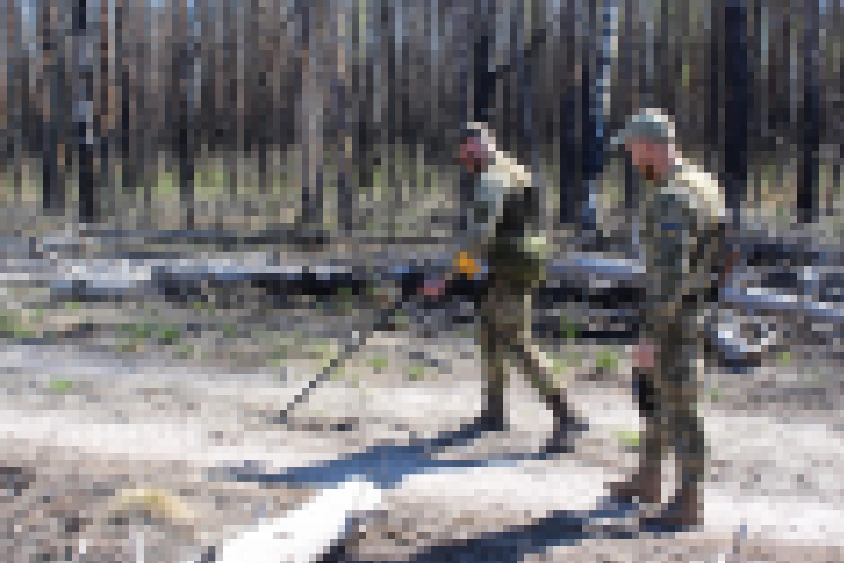 Zwei Soldaten bei der Minenräumung in einem Naturschutzgebiet