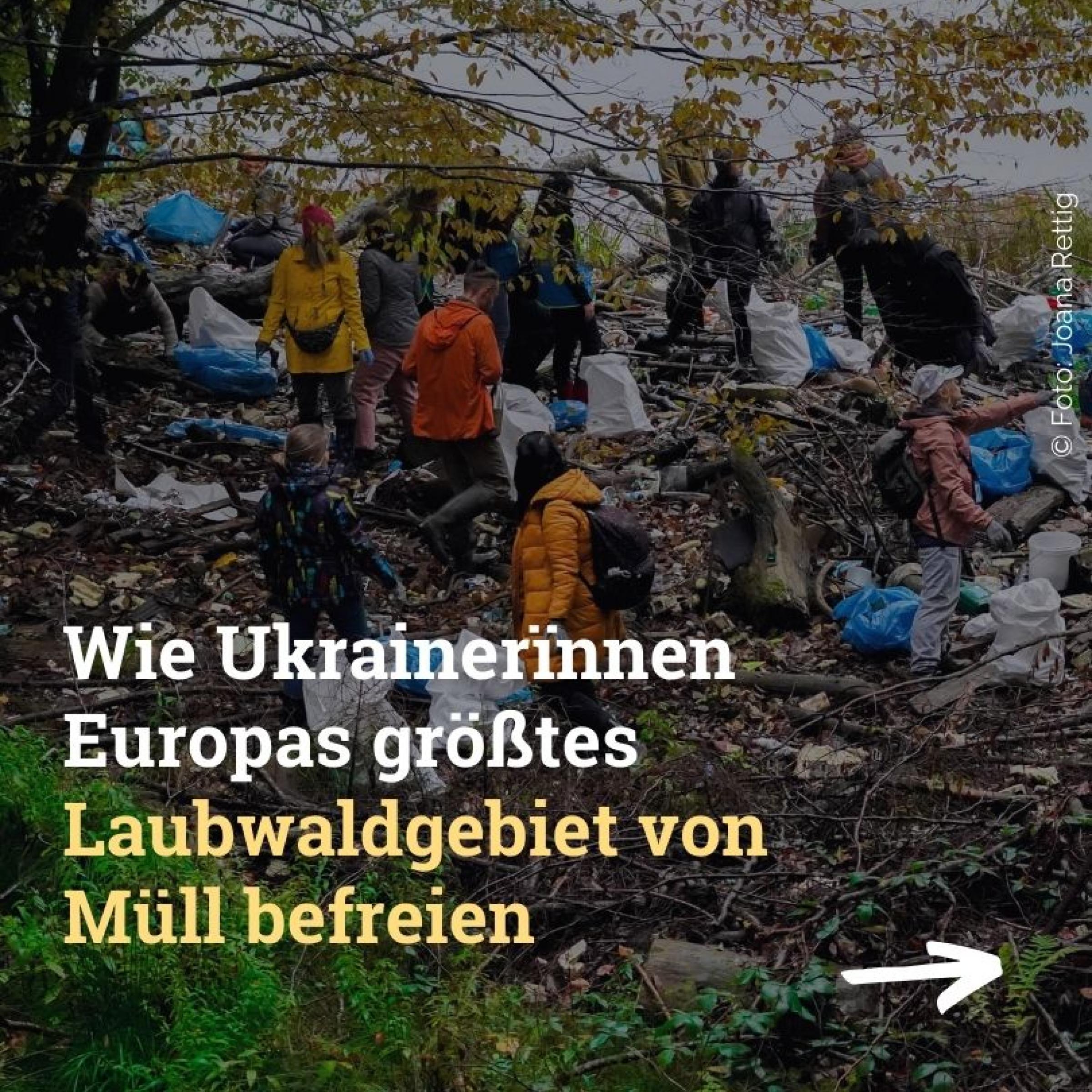 Wie Ukrainerïnnen Europas größtes Laubwaldgebiet von Müll befreien