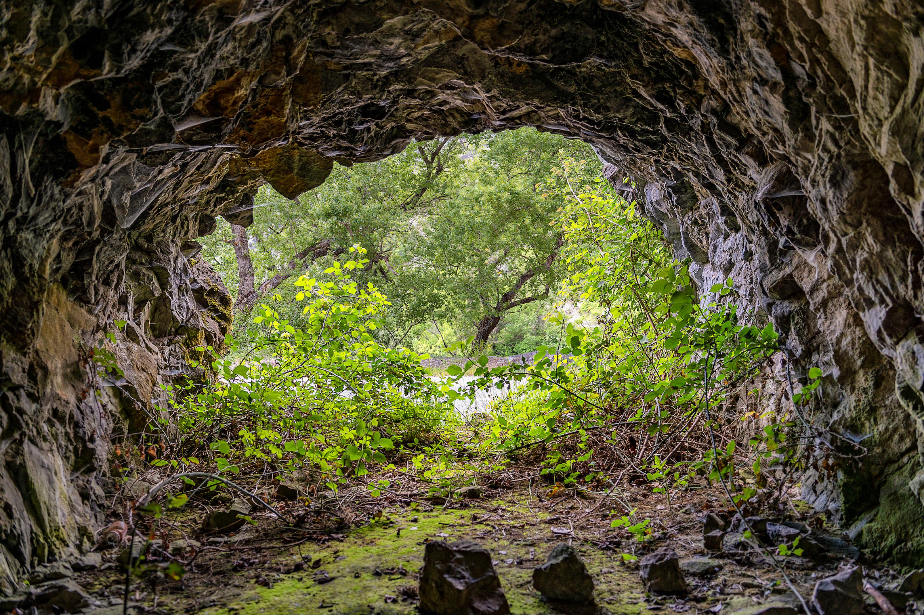 Ausgang einer Höhle, der ins Grüne weist.