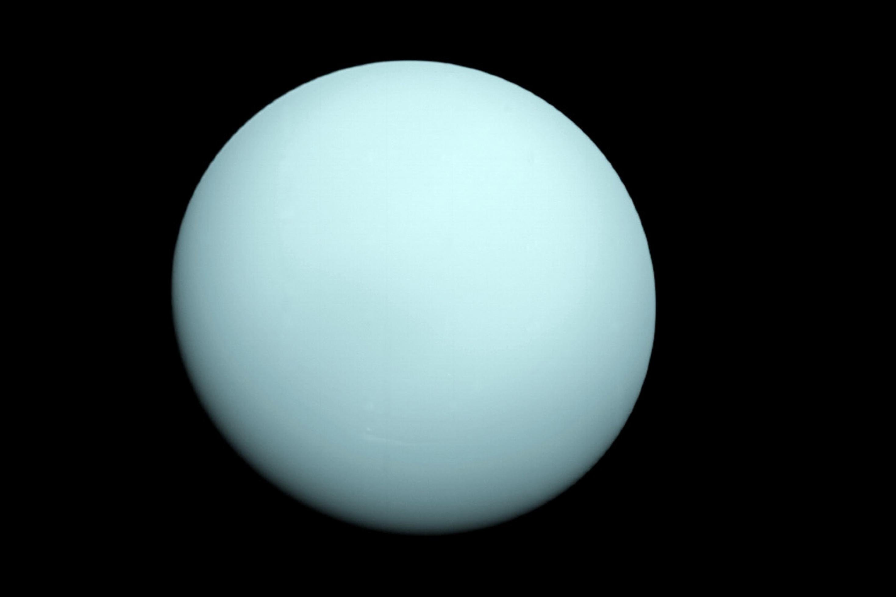 Der Gasriese Uranus, aufgenommen beim Vorbeiflug der NASA-Raumsonde Voyager 2 am 24. Januar 1986, entäuschte ein wenig, weil er wenig Details zeigt.