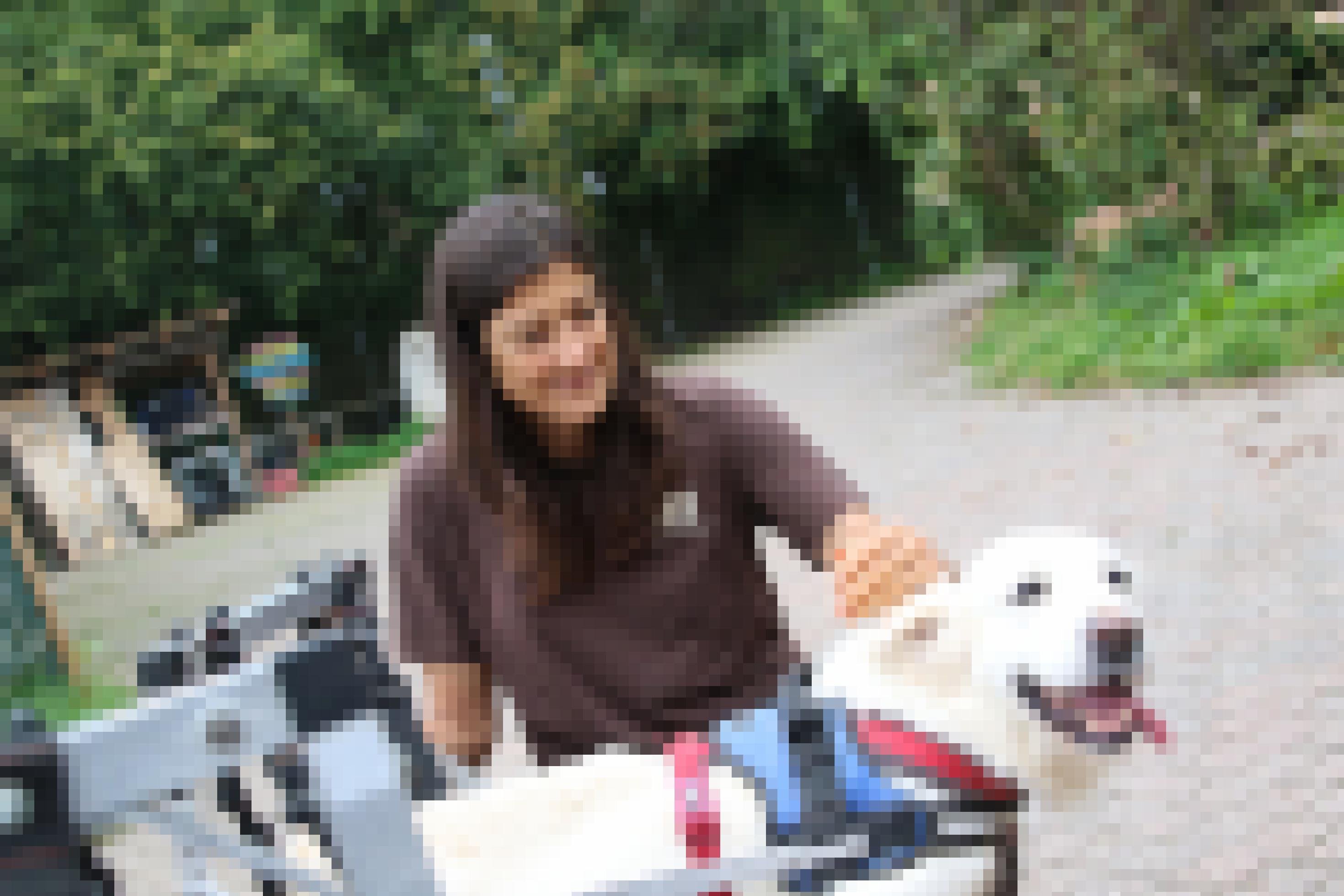 Usha Peters streichelt einen Rollstuhlhund.