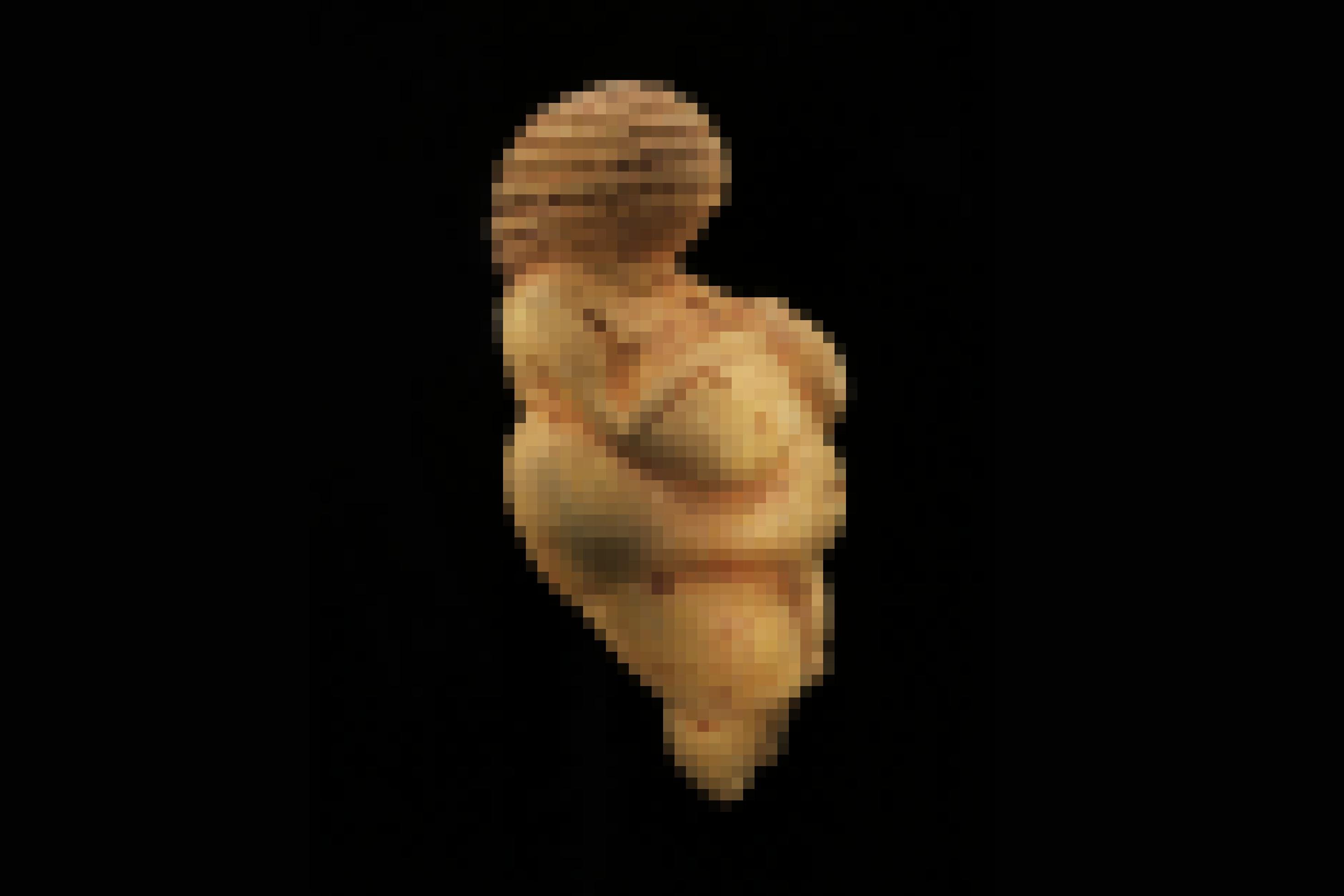 Das Foto zeigt eine gelbliche Frauenfigur vor schwarzem Hintergrund, deren Körperform sehr füllig ist. Sie weist dicke Oberschenkel, viel Körperfett und üppige Brüste auf. Weder Füße noch ein Gesicht sind zu erkennen, jedoch eine kunstvoll geflochtene Haarpracht oder Bedeckung um den Kopf herum.