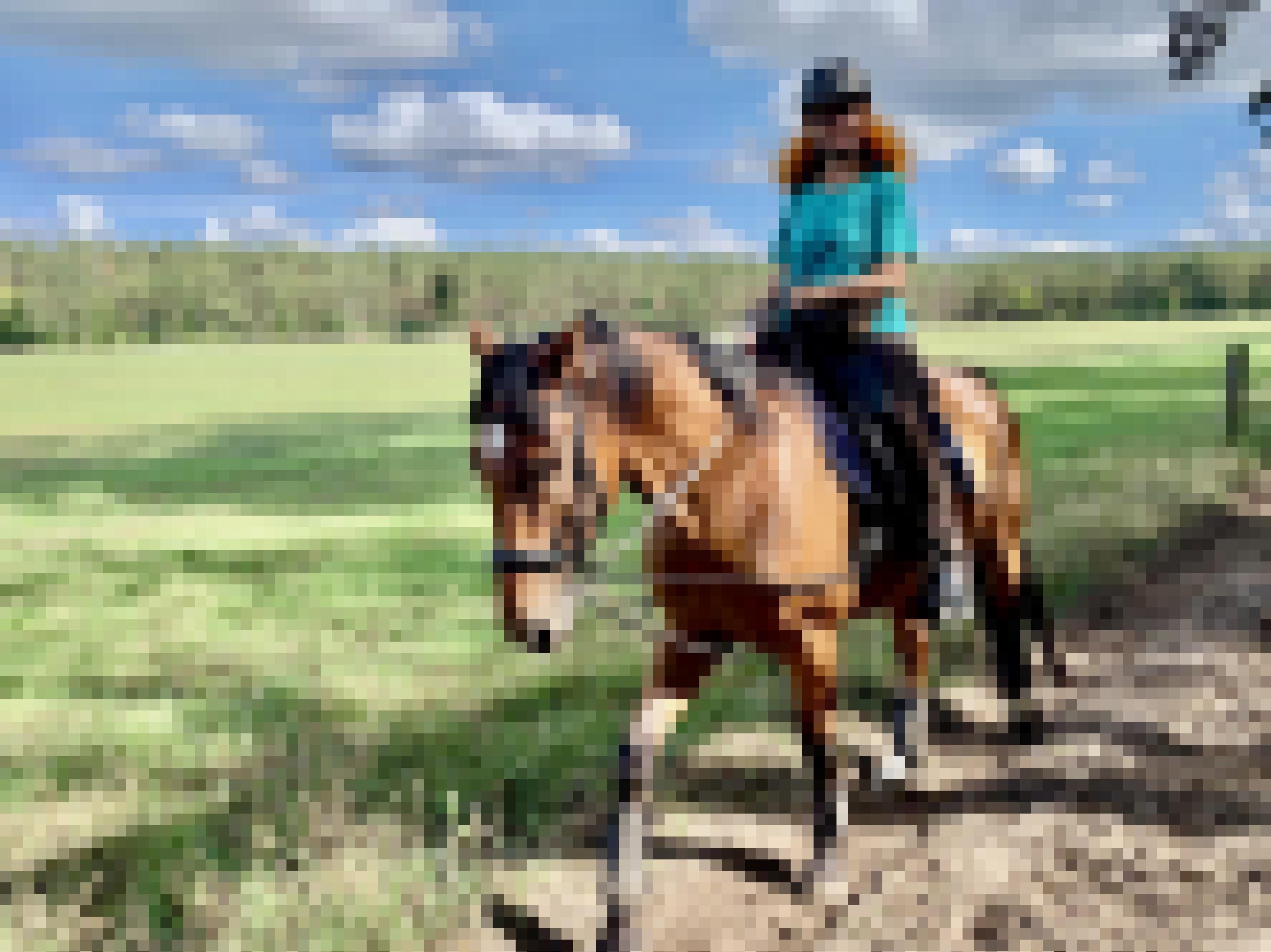 Eine Frau reitet im Schritt einen Feldweg entlang