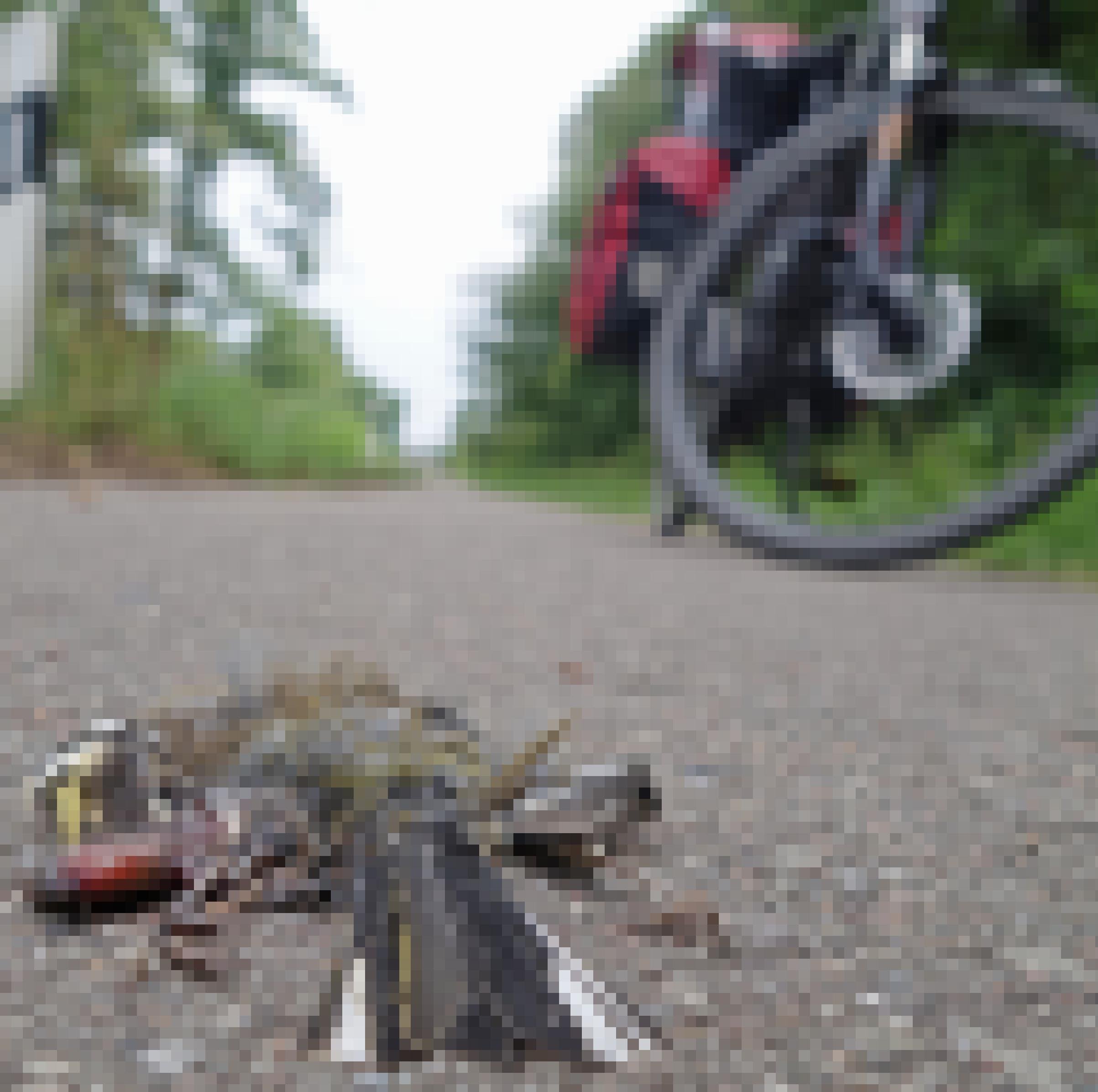 Ein überfahrener und stark zerquetschter männlicher Buchfink liegt auf dem Pflaster eines Radwegs. Im Hintergrund parkt ein Fahrrad.