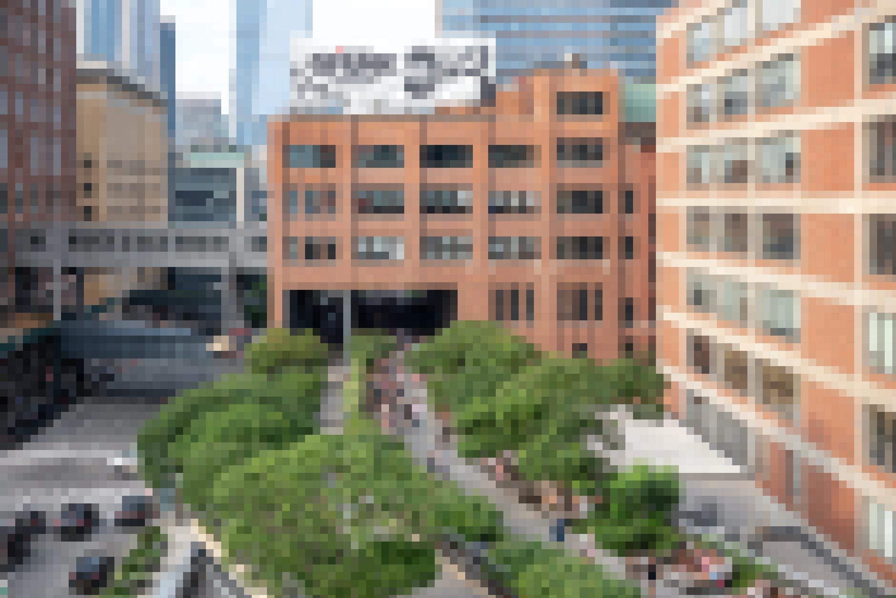 Der Blick aus der Vogelperspektive zeigt die High Line mit Bäumen und Sträuchern inmitten der Straßen und Häuser
