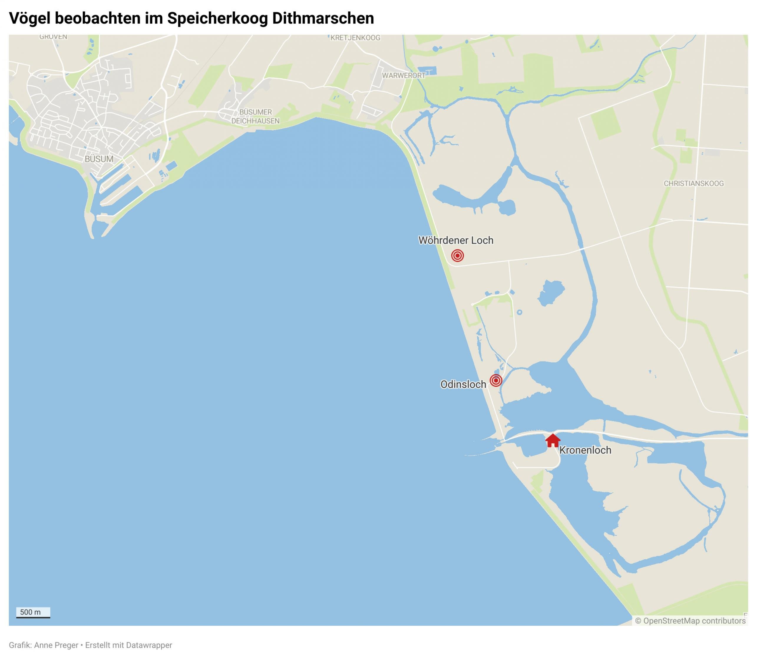 Eine Karte zeigt den Speicherkoog Dithmarschen. Darauf sind drei Stellen zur Vogelbeobachtung markiert: Eine Beobachtungshütte an einem Gewässer namens Kronenloch sowie das Odinsloch und das Wöhrdener Loch.