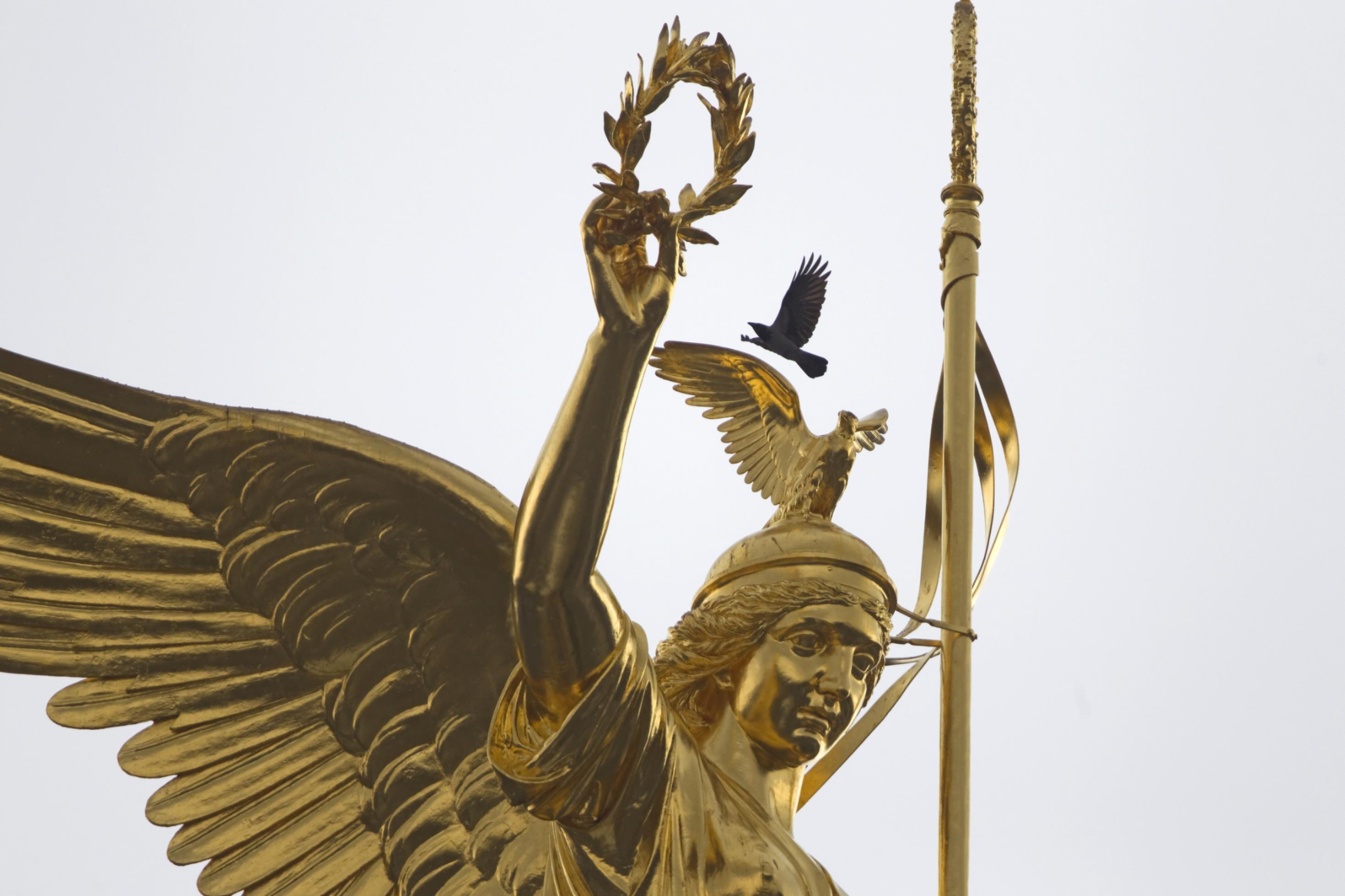 Eine Nebelkrähe landet auf der Bronzestatue der Siegessäule