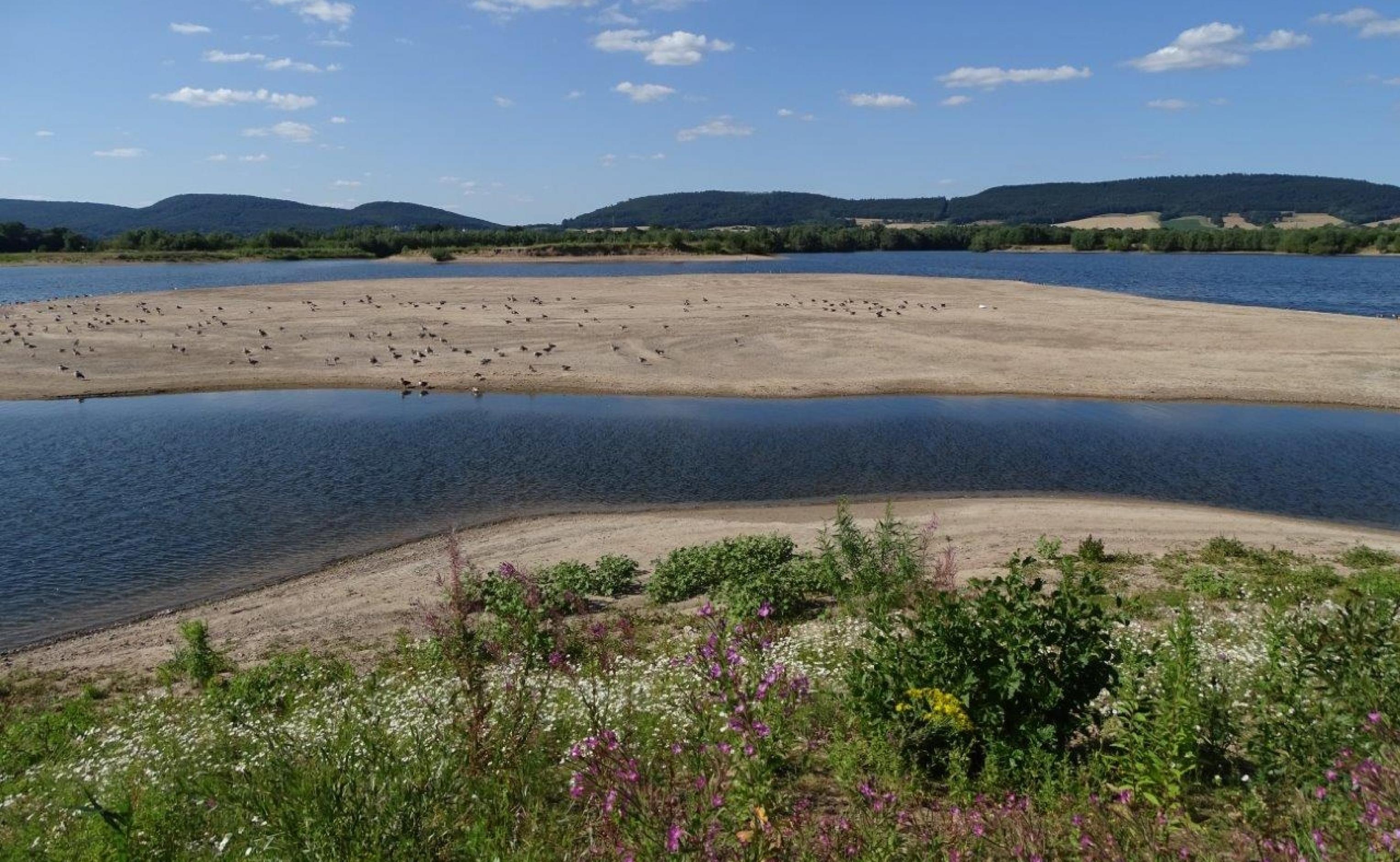 Eine Schleife der Weser in der  Hohenroder Aue im Weserbergland