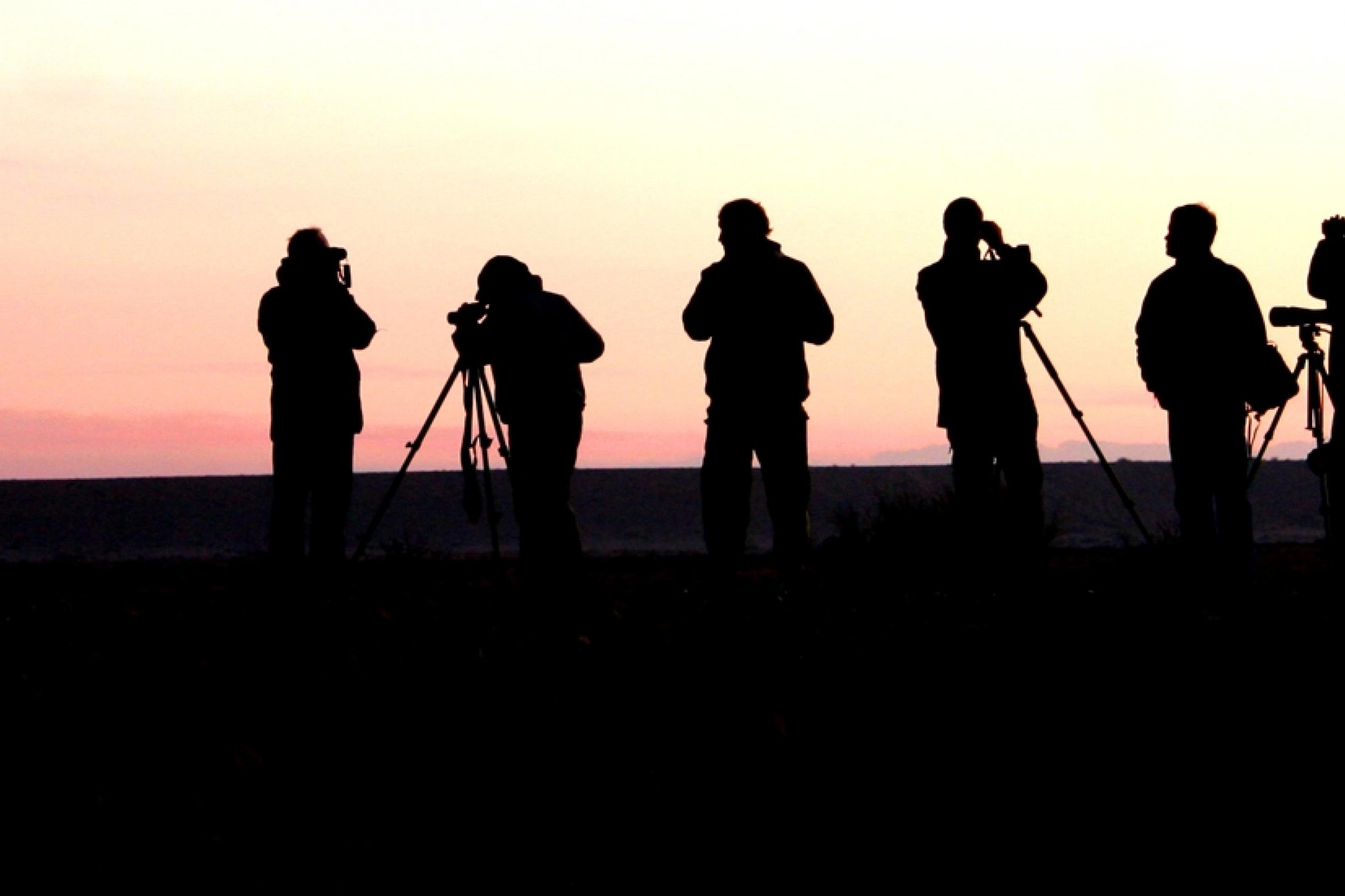 Eine Gruppe Vogelbeobachter im Morgengrauen, nur als Silhouetten erkennbar.