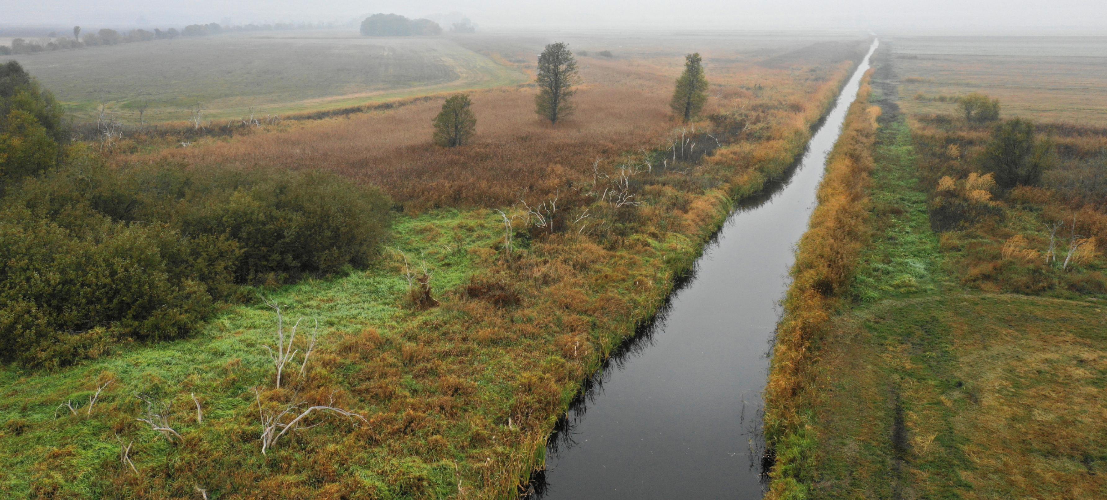 Ein Luftbild. Es zeigt einen Kanal im Havelländischen Luch in Brandenburg mit herbstlicher Färbung der umgebenden niedrigen Pflanzen