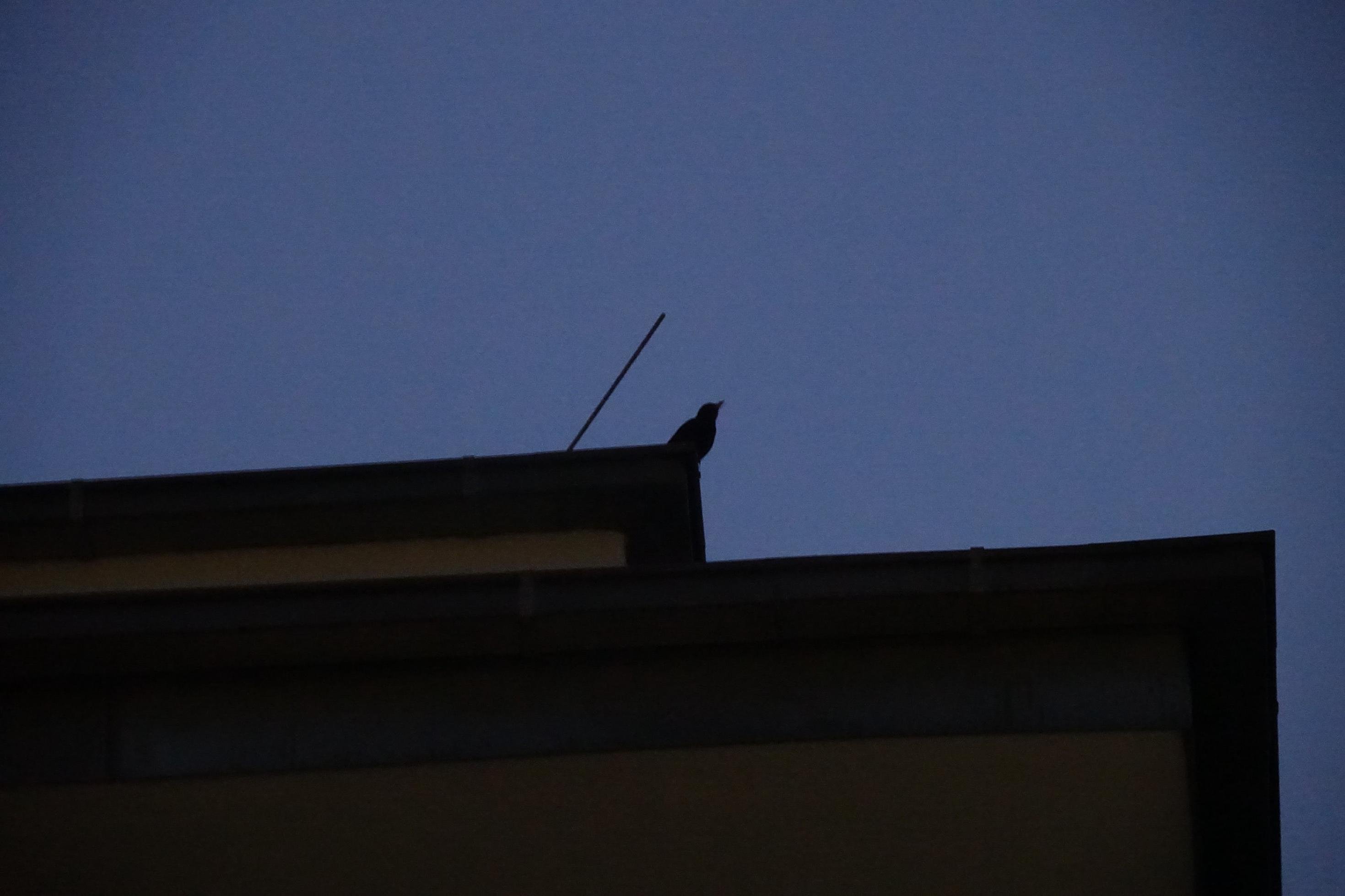 Ein altes Bahnwärterhäuschen im Park am Gleisdreieck bei Nacht.