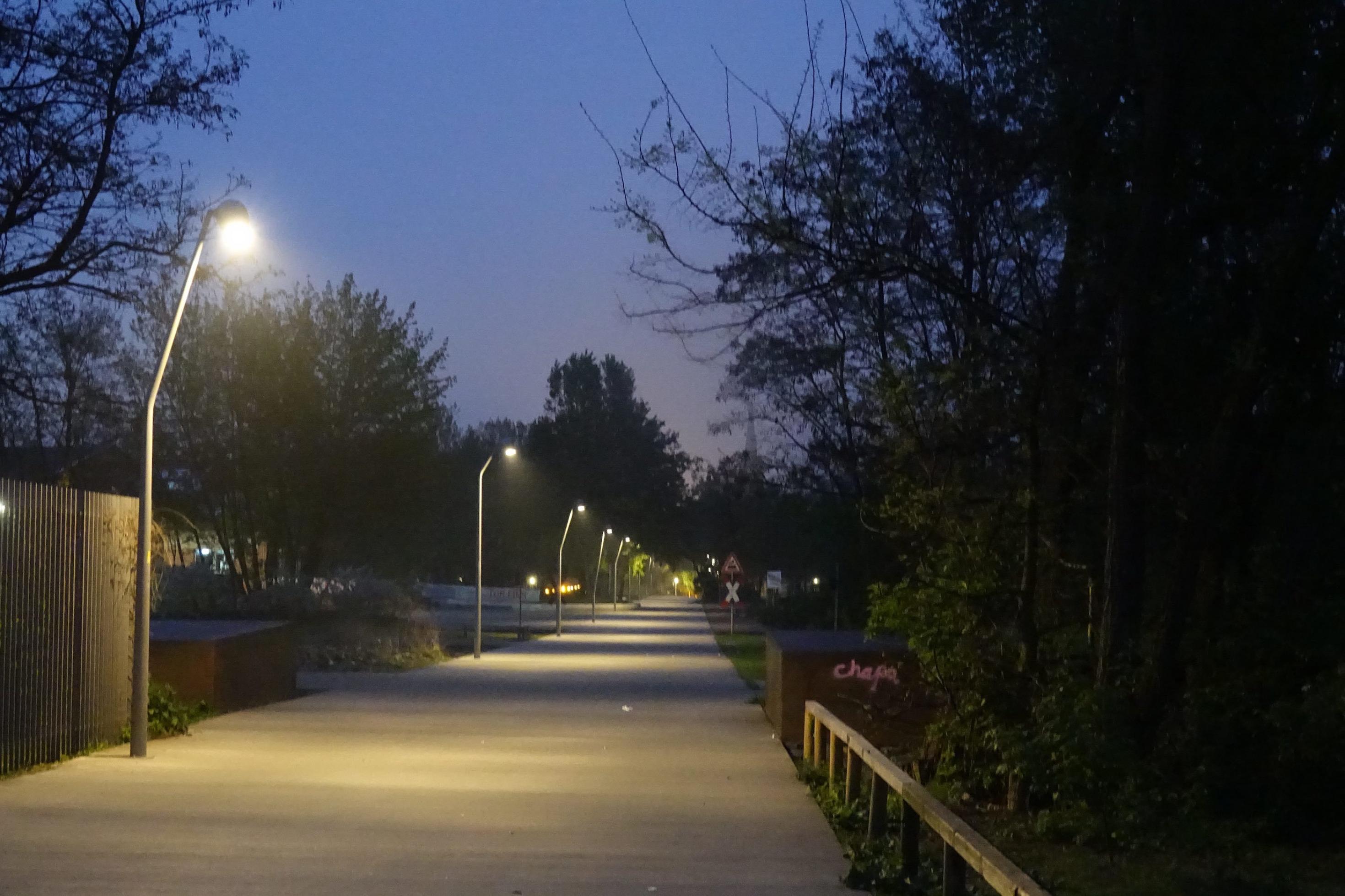 Aufnahme eines Weges im Park am frühen Morgen.