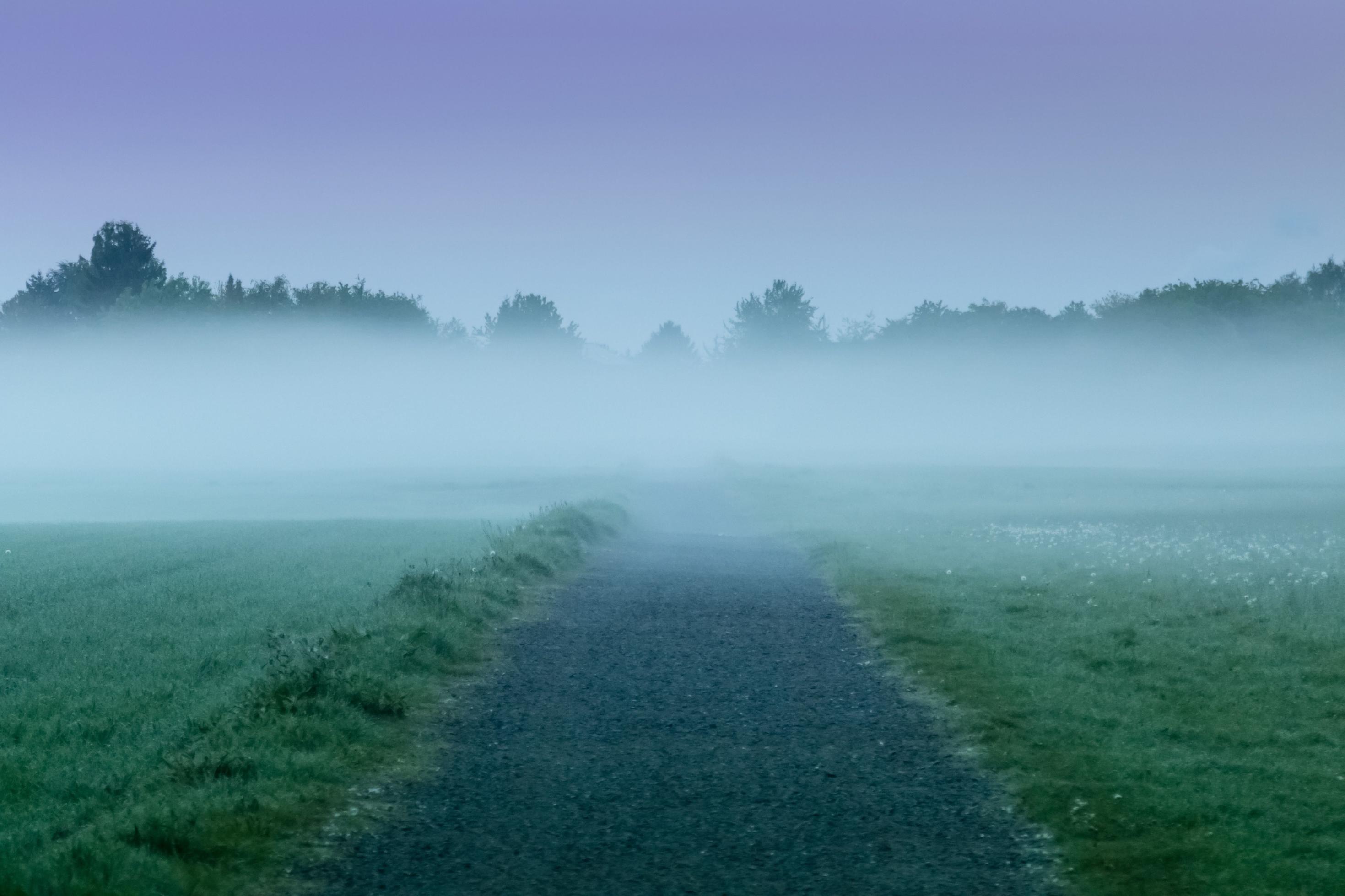 Die Sürther Aue bei Dämmerung im Nebel.