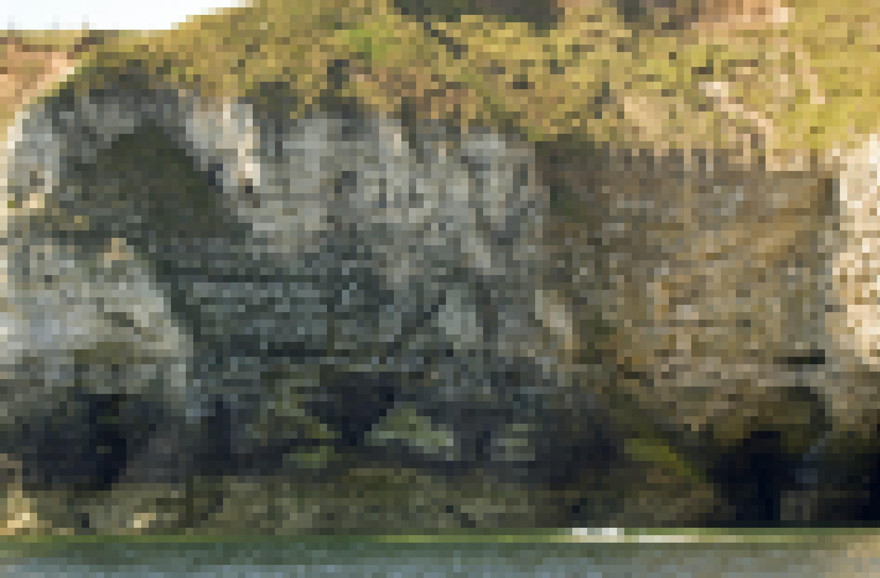 Blick in eine Steilklippe mit vielen Seevögeln