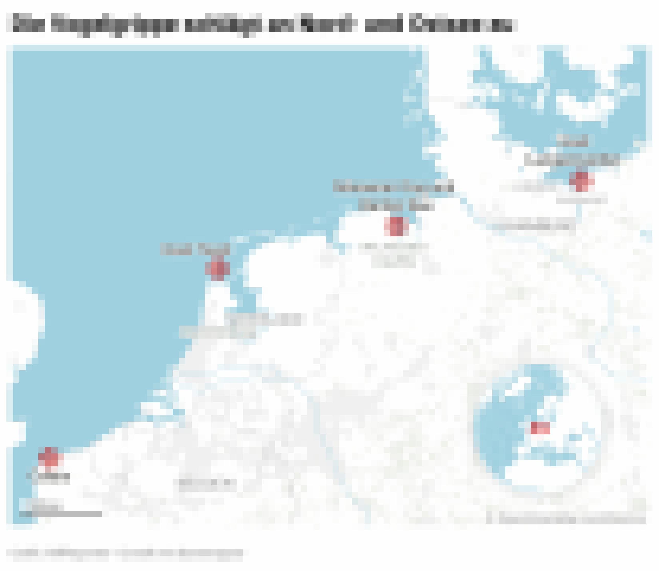 Eine Karte mit den Hotspots der Ausbrüche