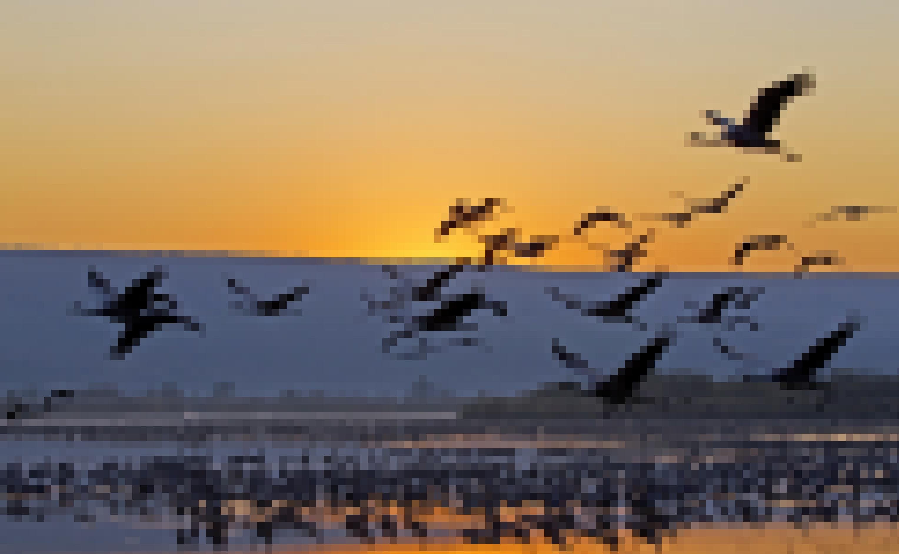 Eine Gruppe Kraniche fliegt vor dem Hintergrund der aufgehenden Sonne am Morgen von ihrem Rastplatz  in einem Flachwassersee ab.