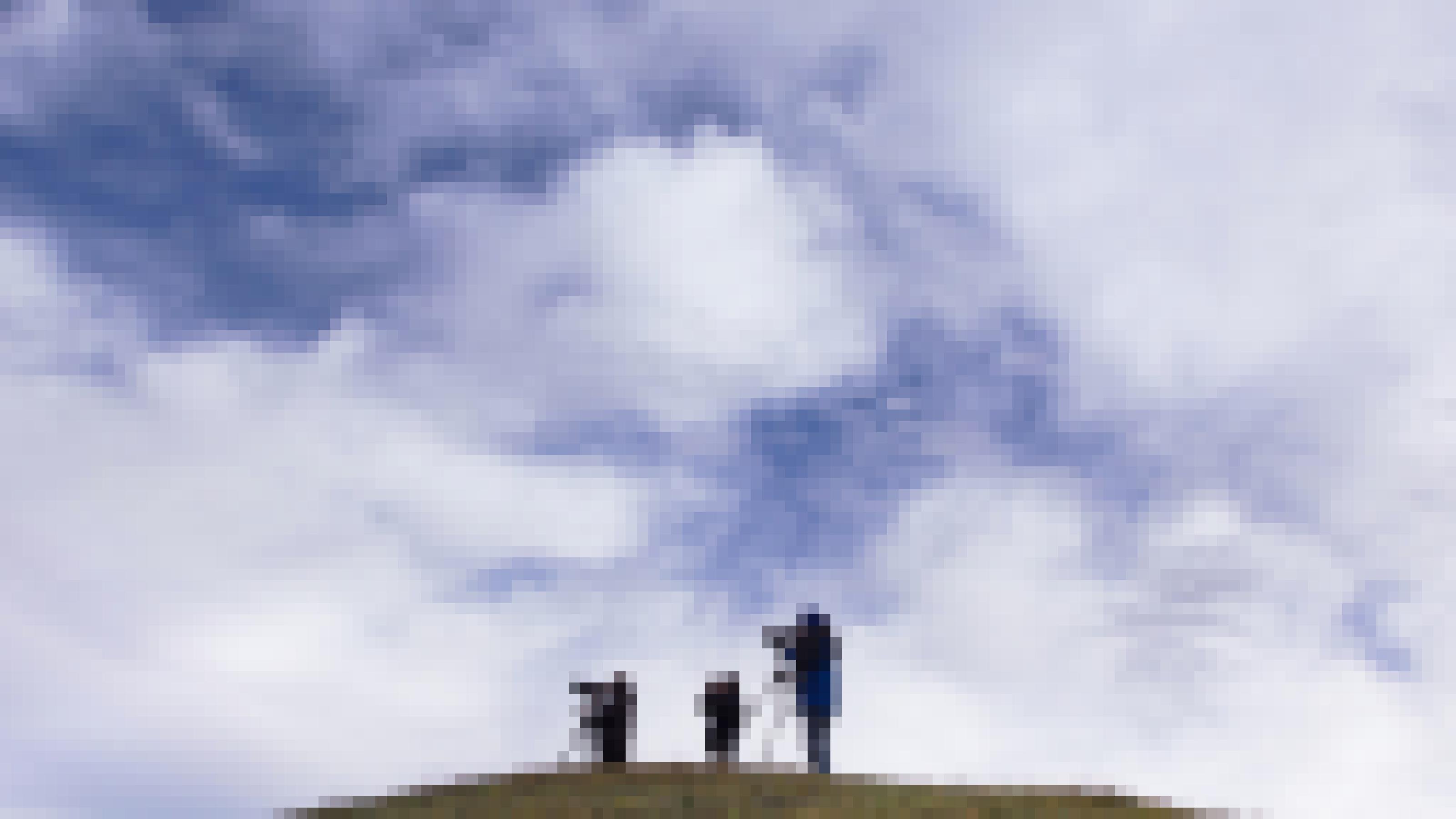 Drei Vogelbeobachter auf einem Hügel mit ihren Fernrohren.