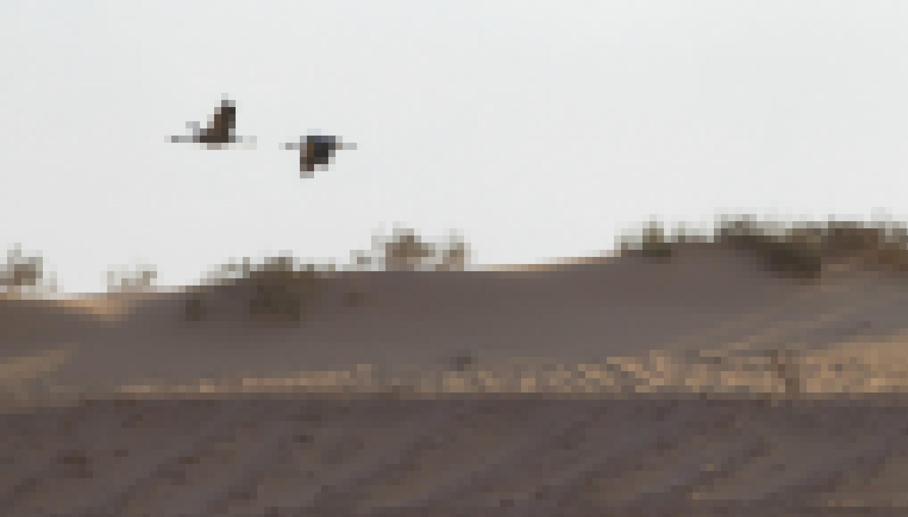Zwei Kraniche fliegen über der Sandwüste.