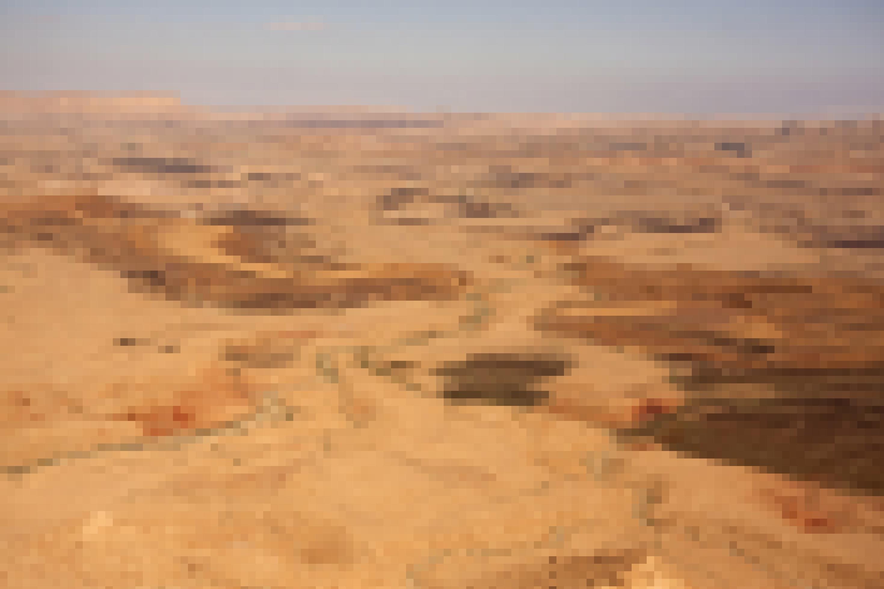 Ein Foto der Negev-Wüste in Israel. Eine weite Steinwüste so weit das Auge reicht.