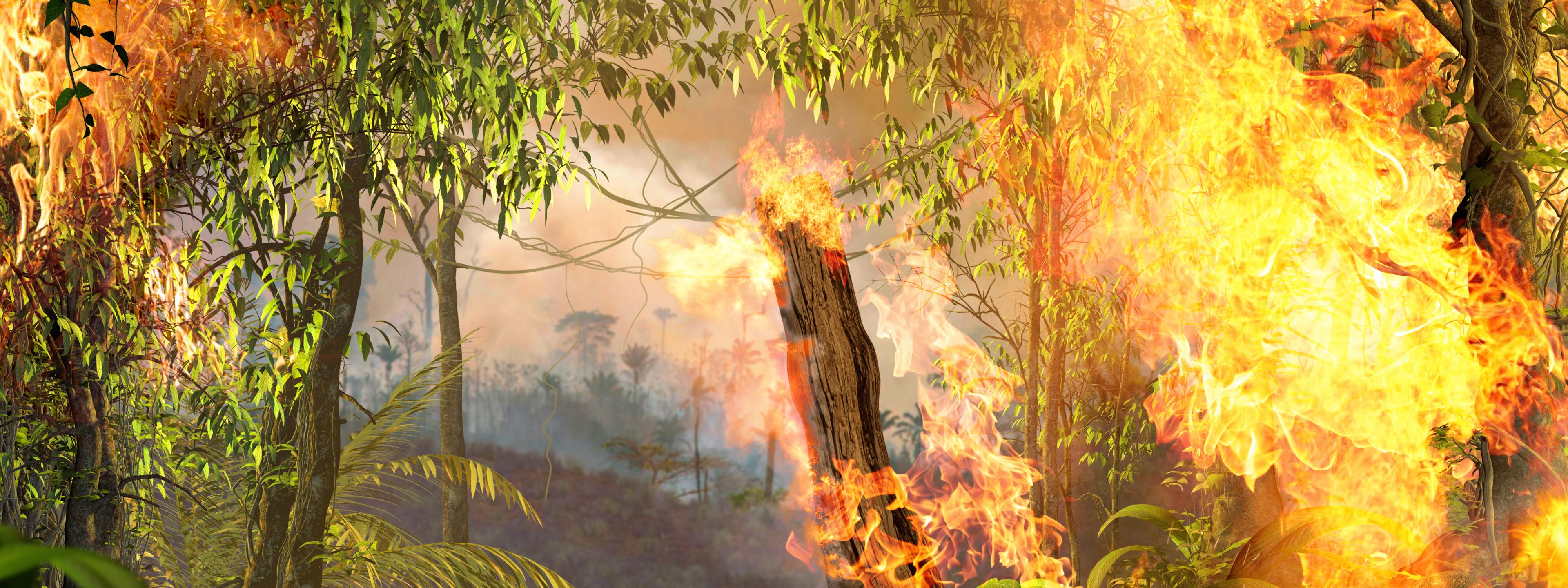 Brandstiftung treibt die Entwaldung im Amazonas-Regenwald in Brasilien voran. (Symbolbild)