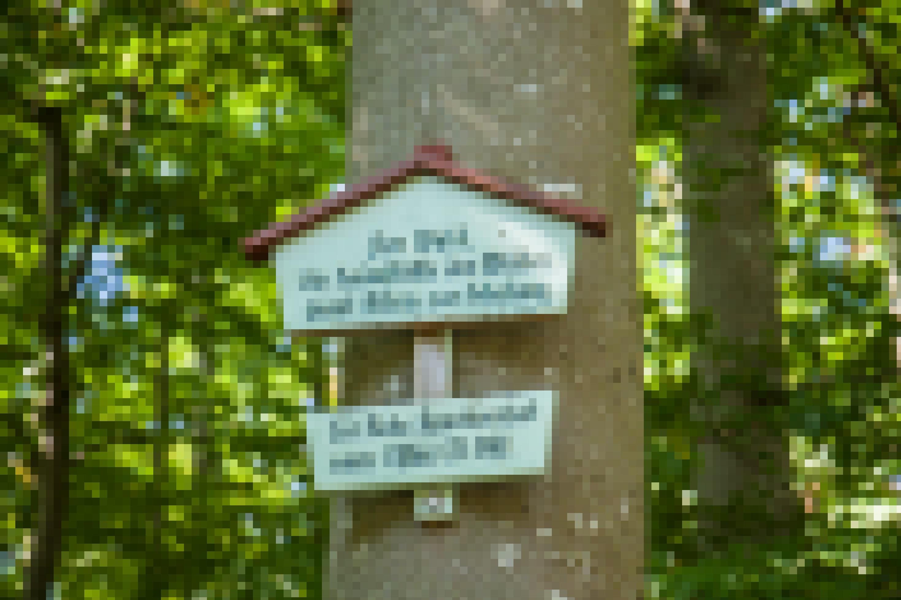 Schild an einer Buche. Es weißt auf das Ruhegebot im Wald hin.