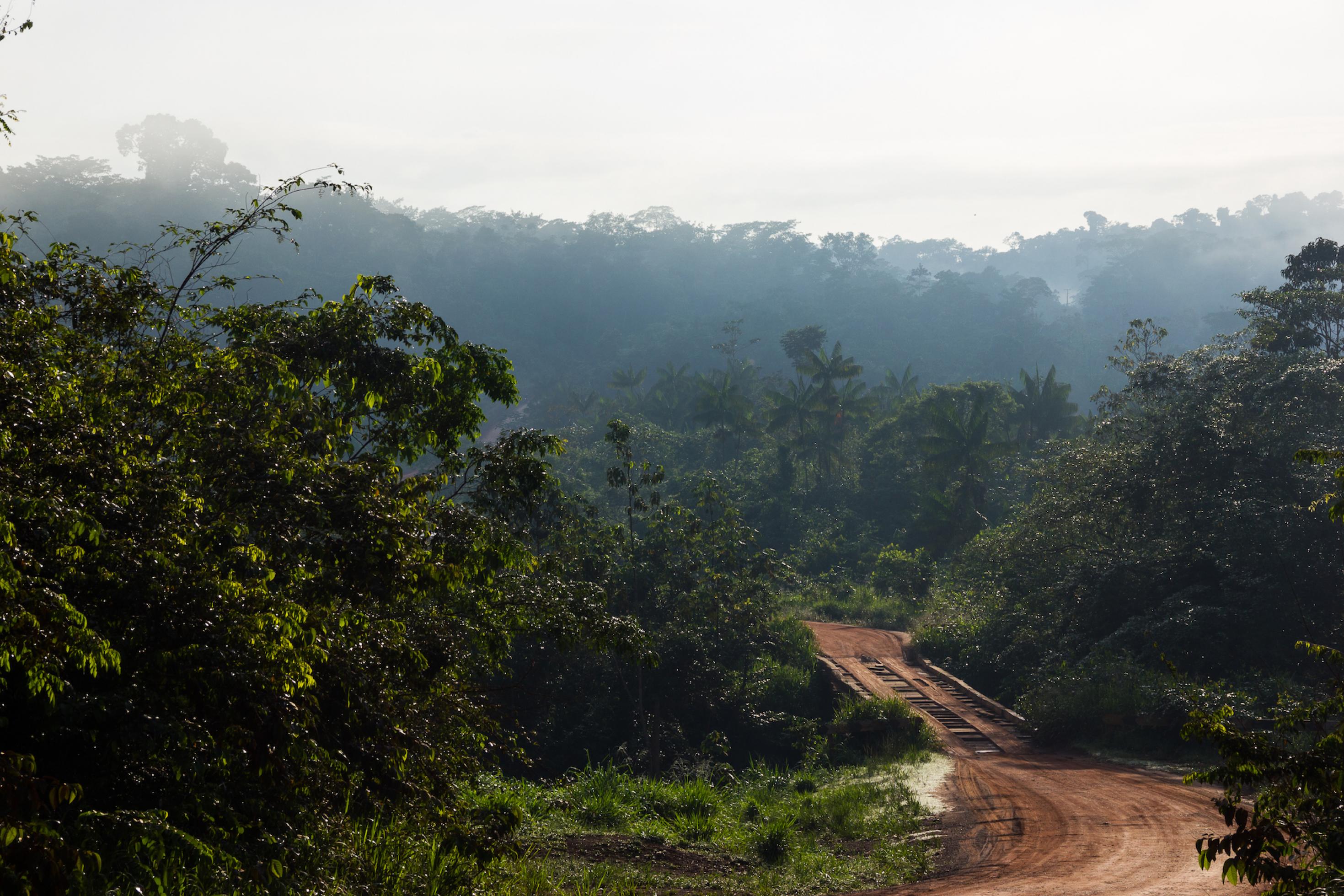 Eine Straße die durch den Amazonaswald führt.