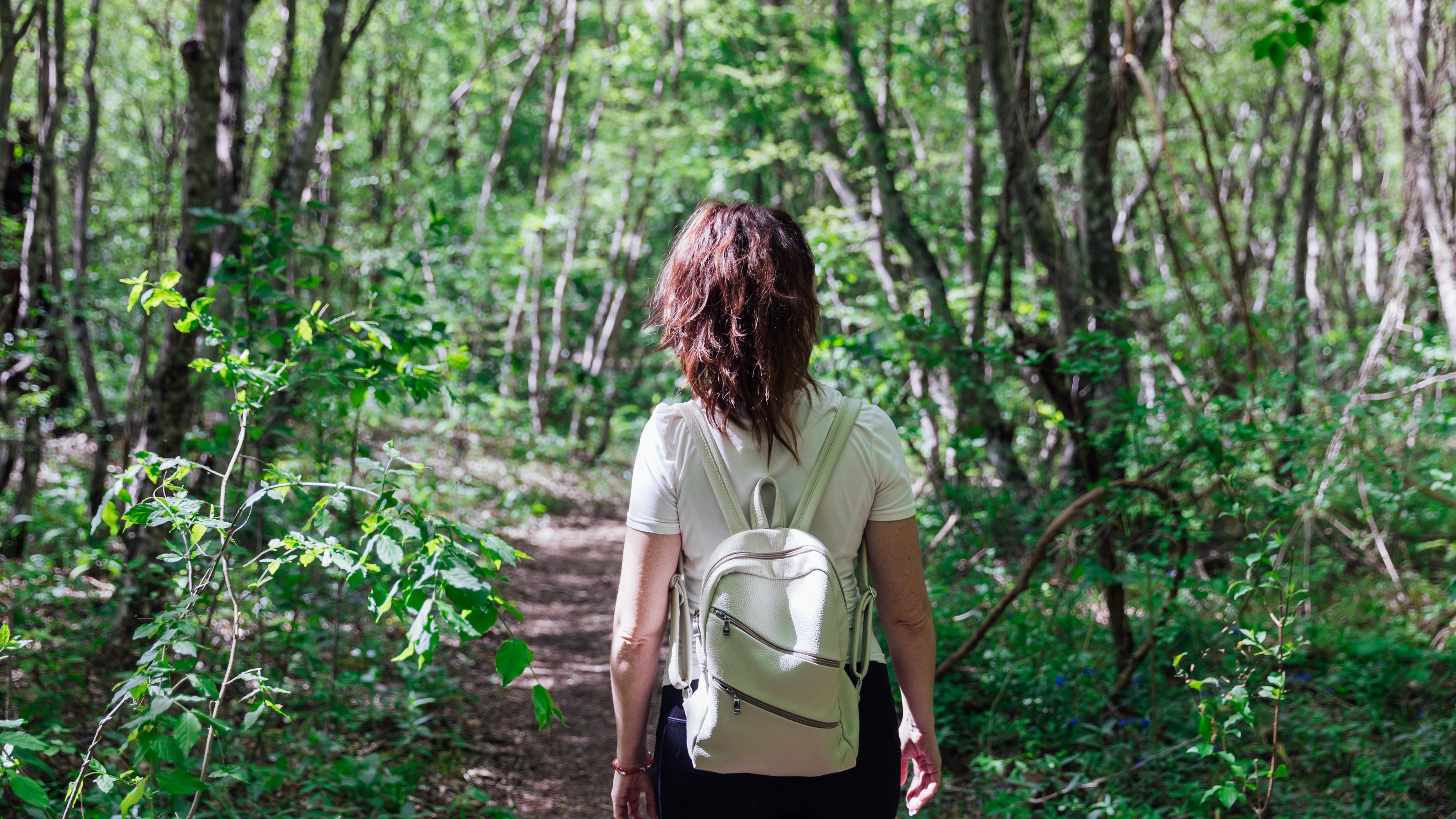 Man sieht eine Frau mit Pferdeschwanz von hinten, die durch einen Wald läuft.