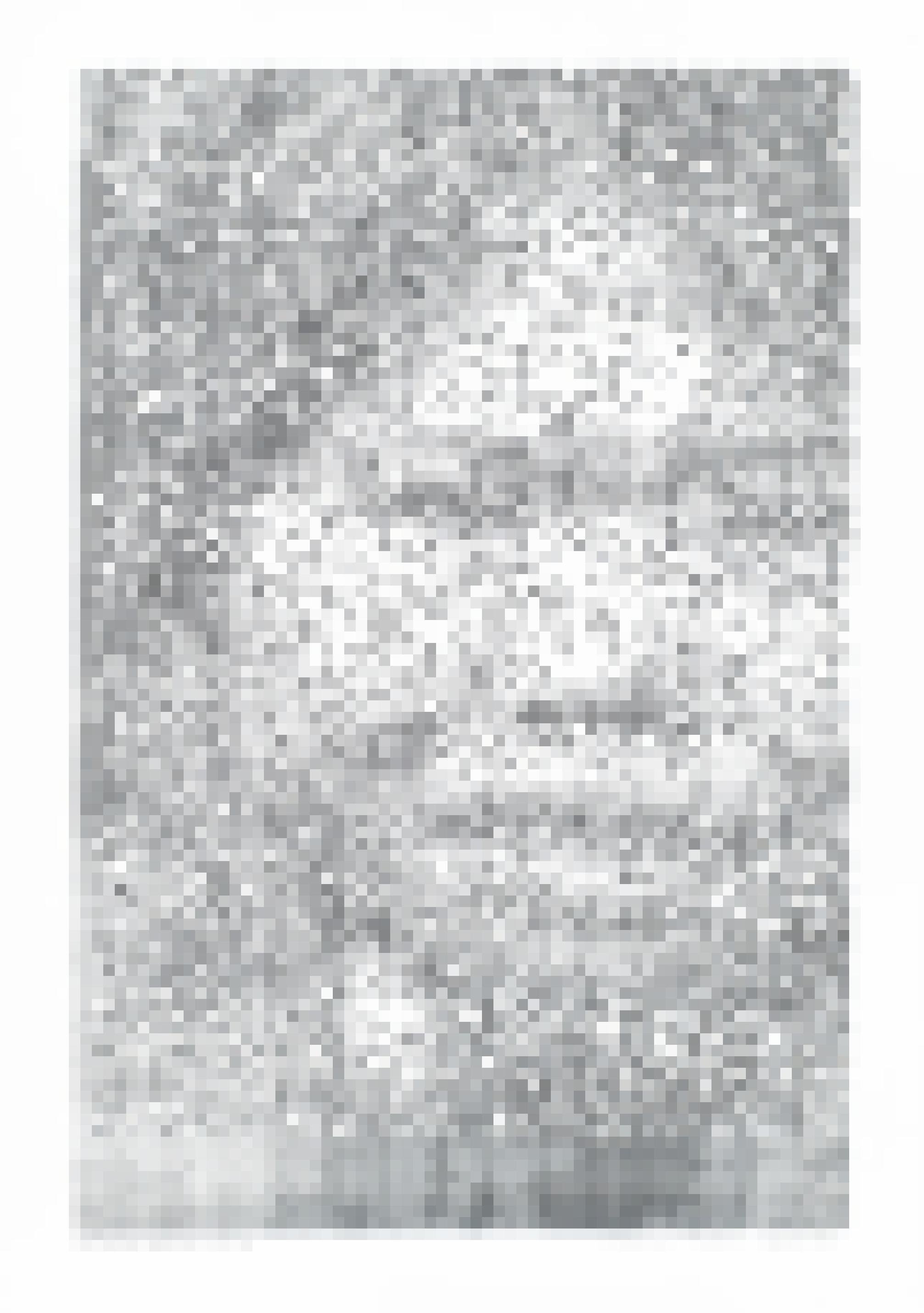 Hochformatige Computergrafik. Aus einzelnen Zeichen ergibt sich das Bildnis einer indigenen Frau.