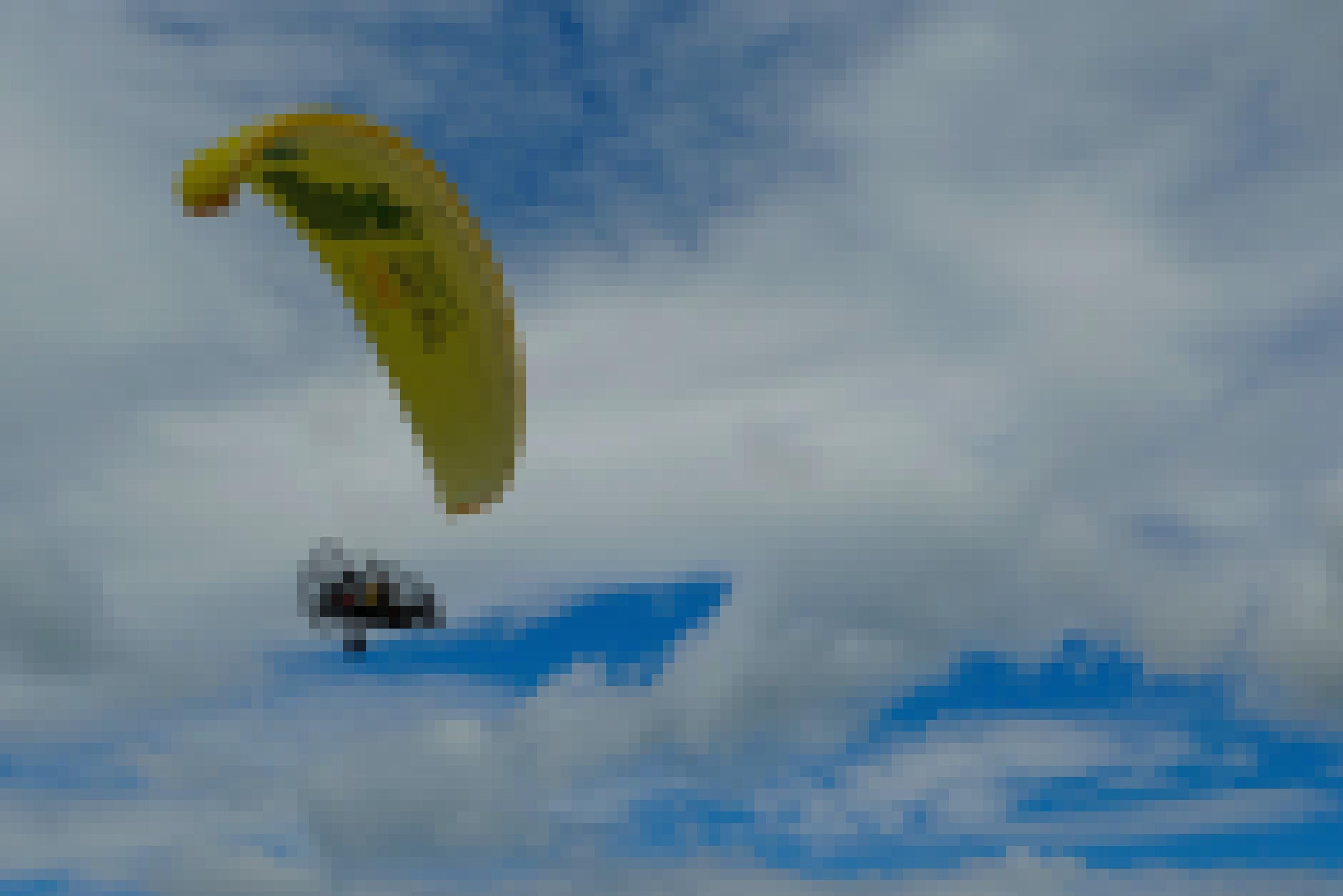 Das Ultraleichtflugzeug mit gelben Schirm fliegt vor wolkigem Himmel.