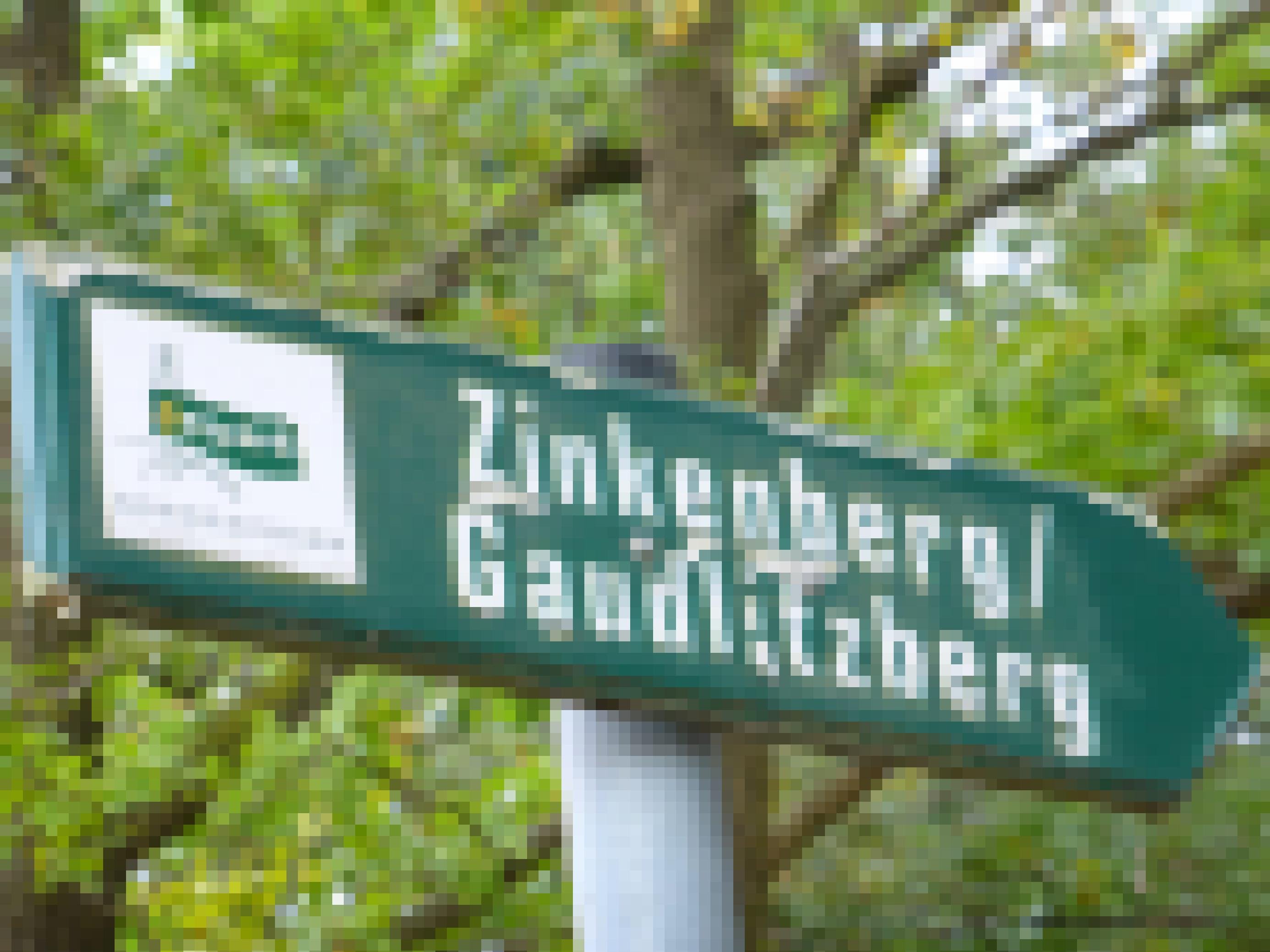 Grüner Wegweiser des Geoparks Nordsachsen mit den Aufschriften „Zinkenberg / Gaudlitzberg“.