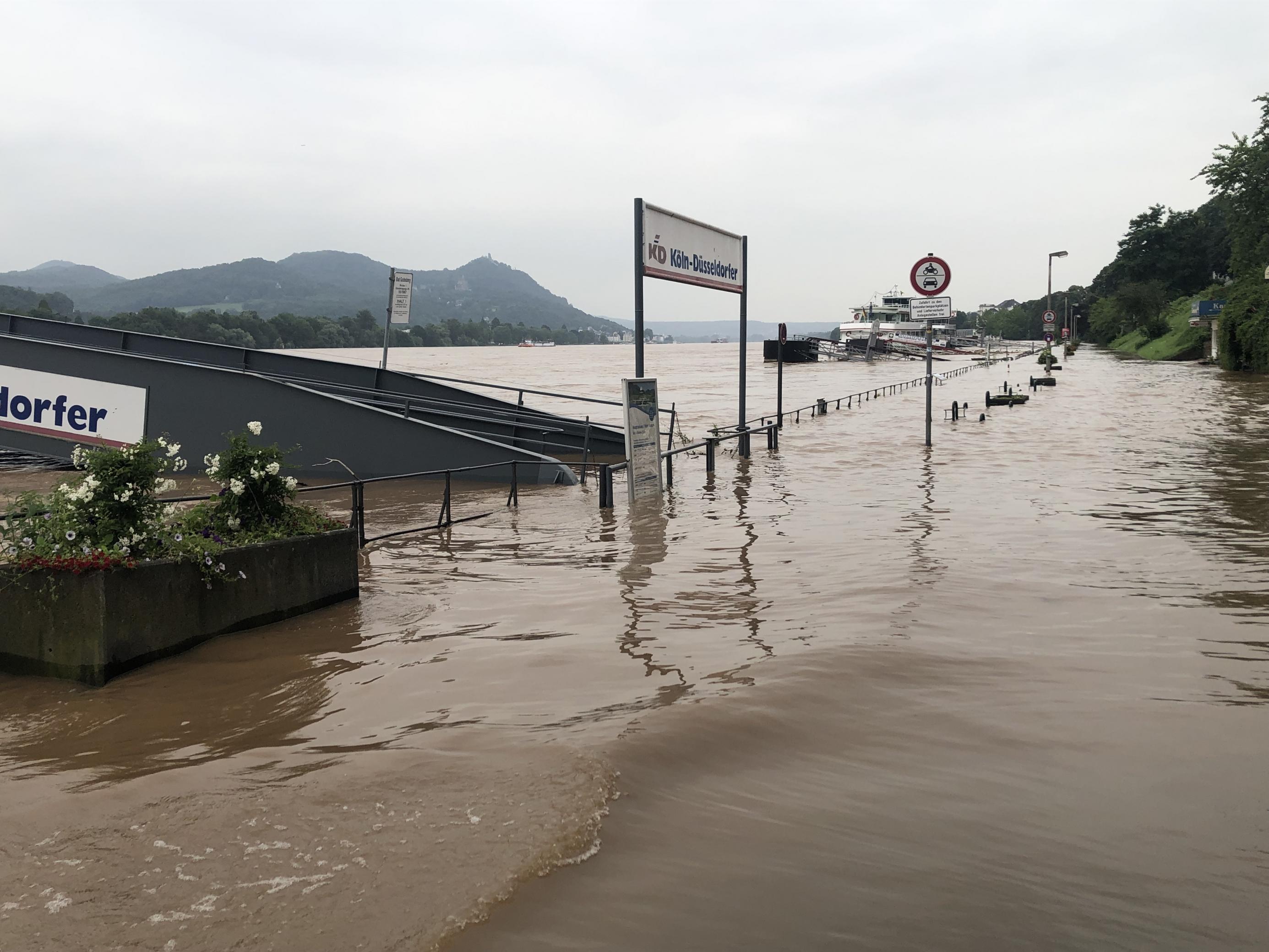 Das Wasser des Rheins ist nach dem Starkregen in der Eifel im Juli 2021 braun.