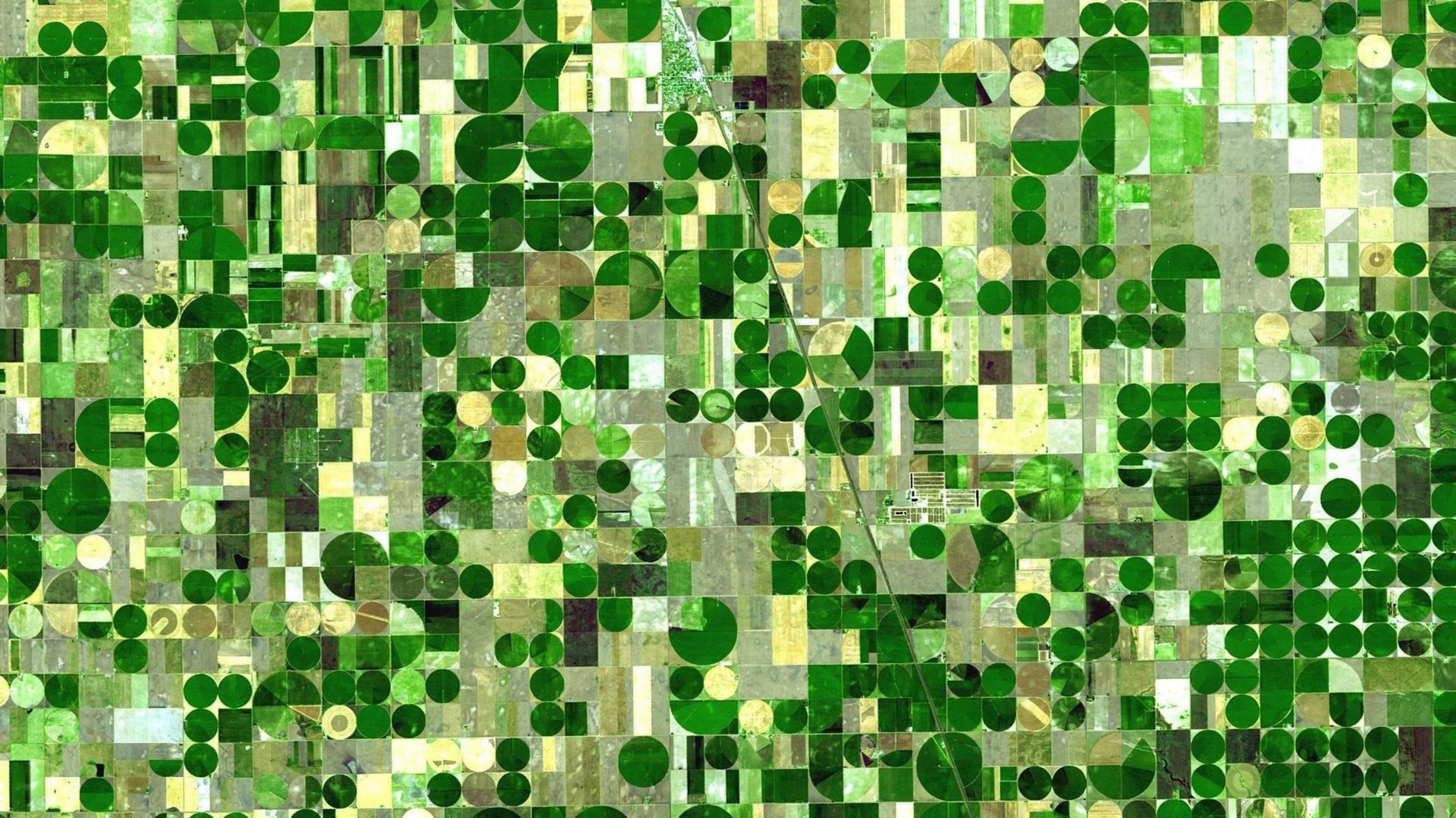 Satellitenaufnahme eines Agrargebiets, in dem in Kreisen bewässert wird, so dass ein Mosaik grüner Kreise entsteht.