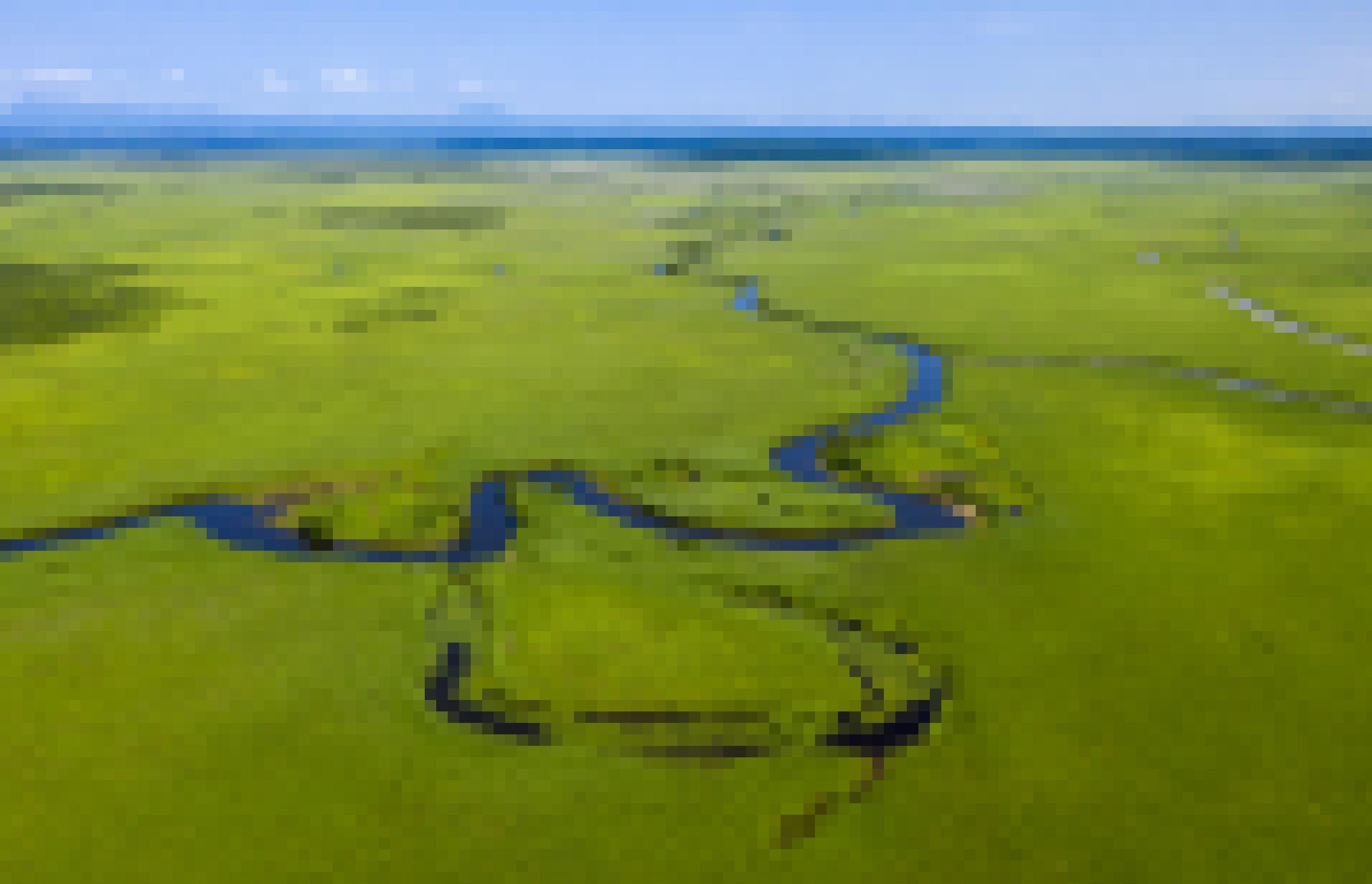 Eine riesige grüne Sumpflandschaft, durch die sich ein Fluss schlängelt