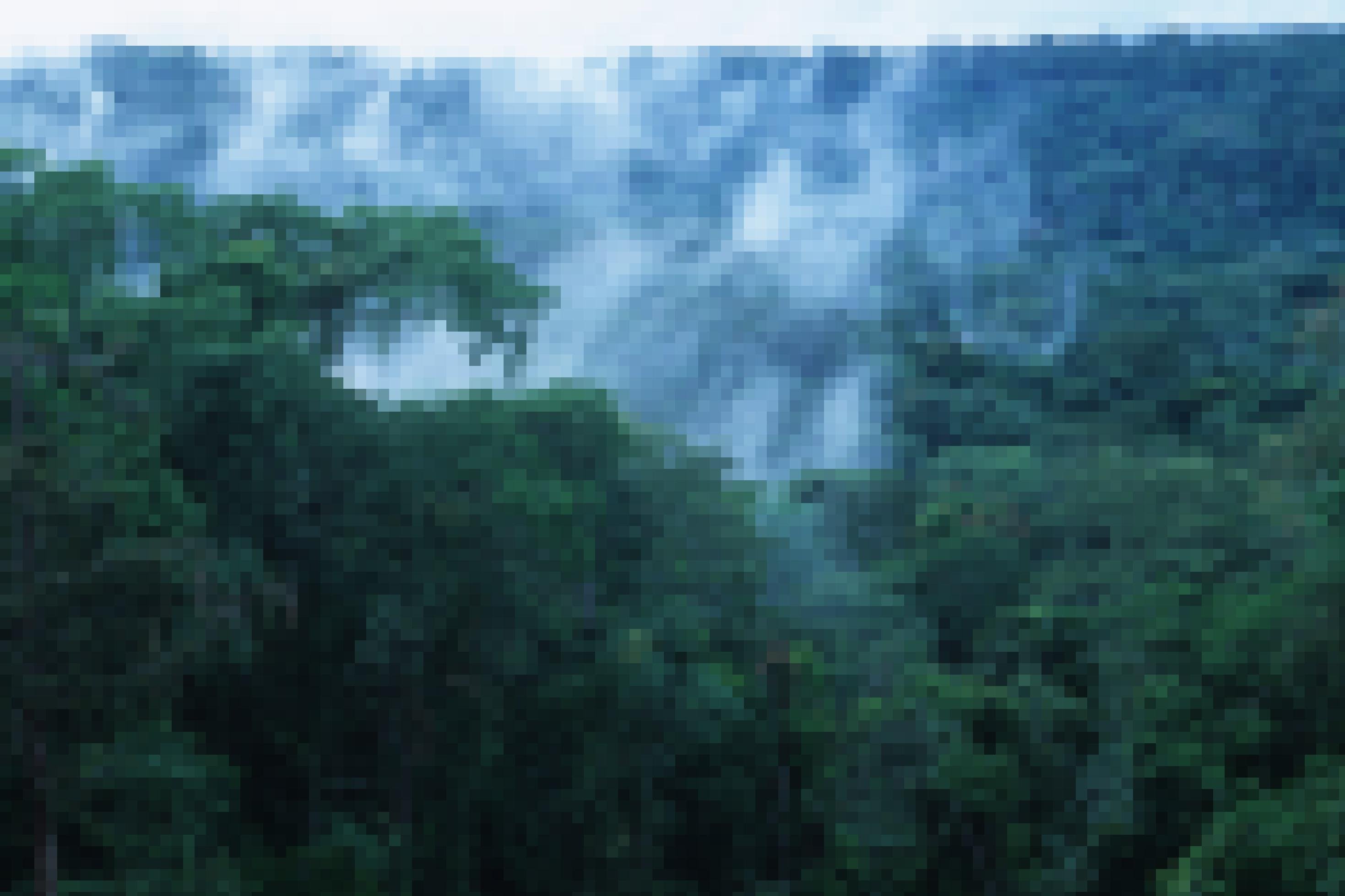 Tropischer Regenwald im Kongo-Becken, Wasserdampf steigt aus dem Wald.