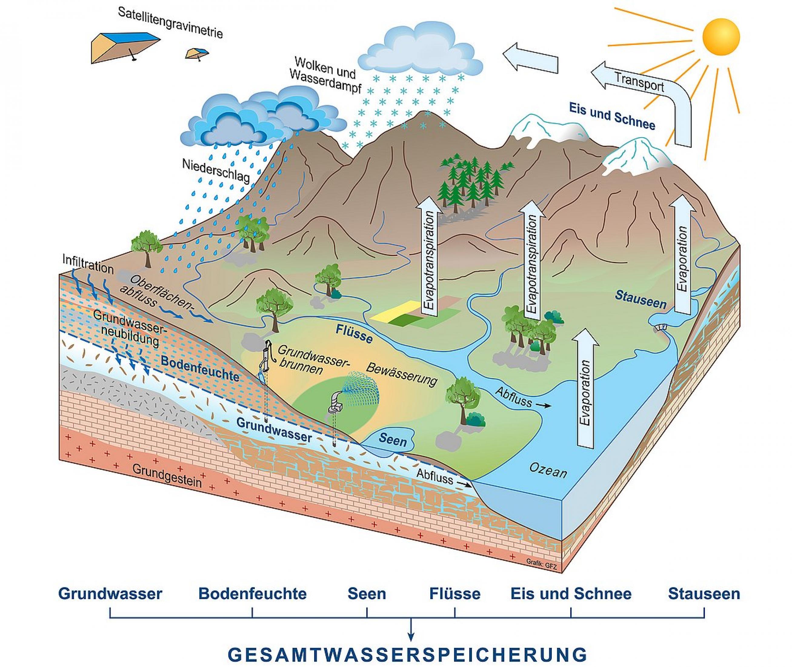 Graphik des Wasserkreislaufs vom Grundwasser bis zur Verdunstung.