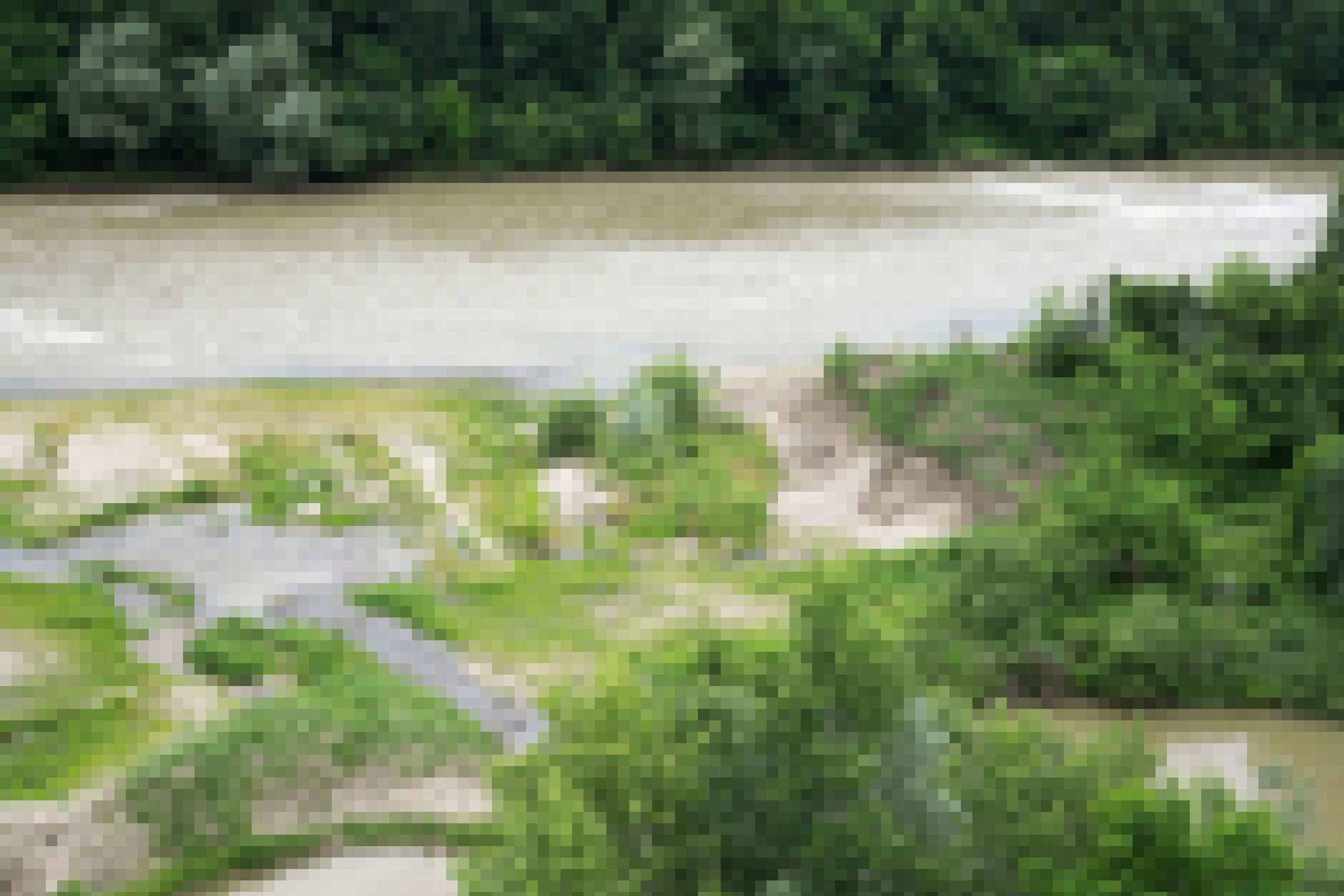 Fluss Mur mit offenem Uferbereich und Pflanzen