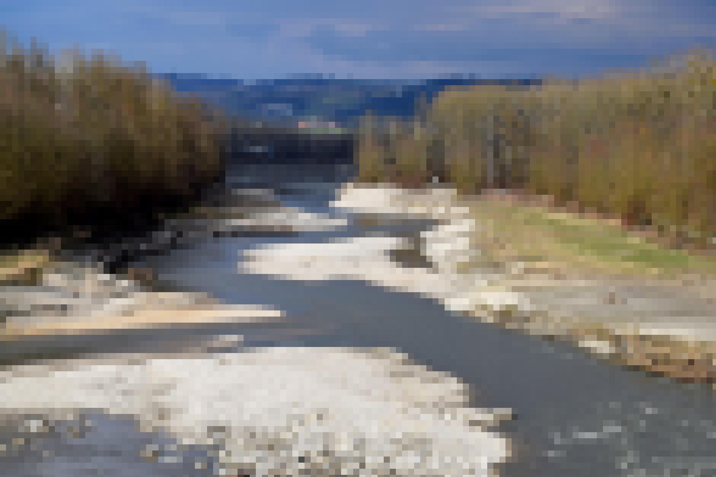 gewundener Flussarm mit Bäumen und Sträuchern