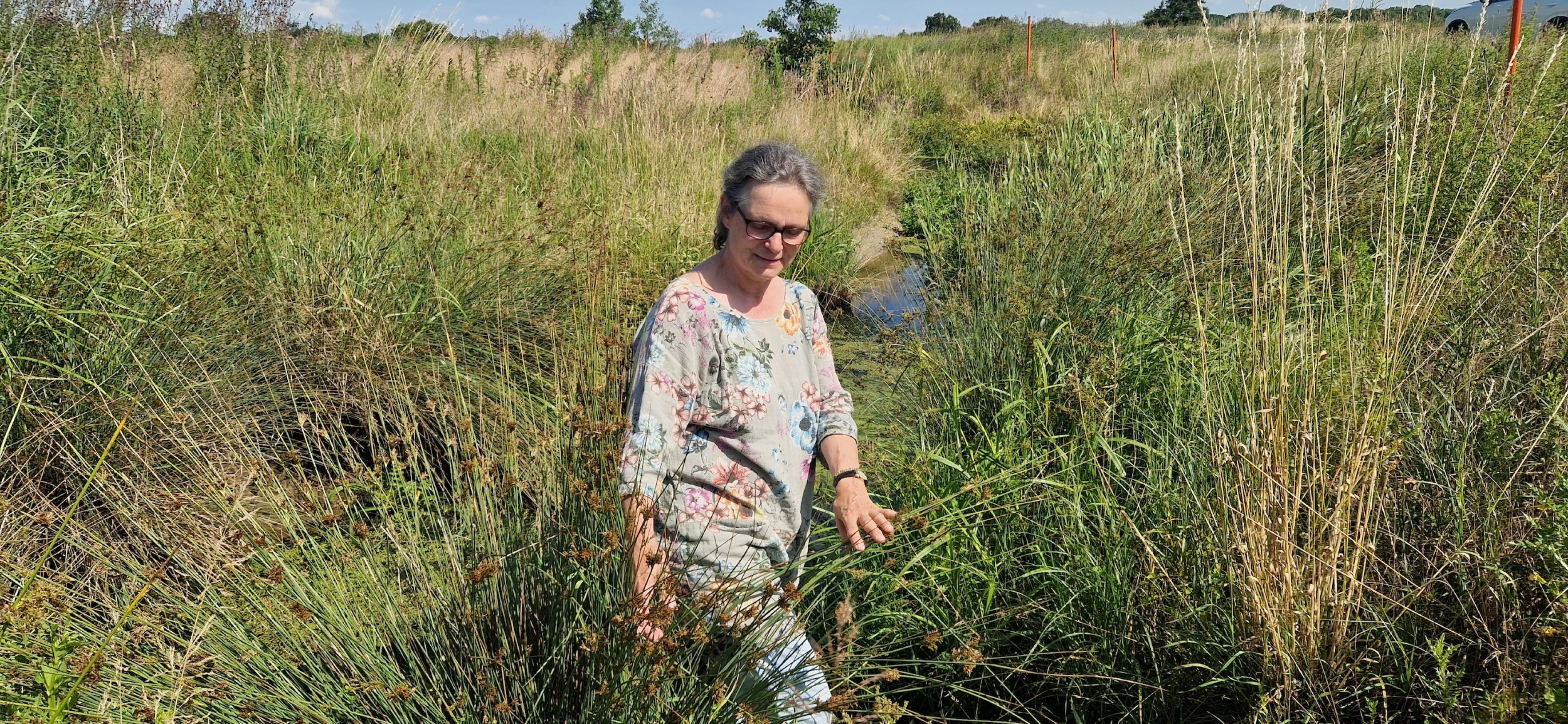 Grauhaarige Dame zwischen meterhohen Gras- und Seggenbüscheln; zwischen dem dichten Bewuchs sieht man einen Teil des Bachlaufs.