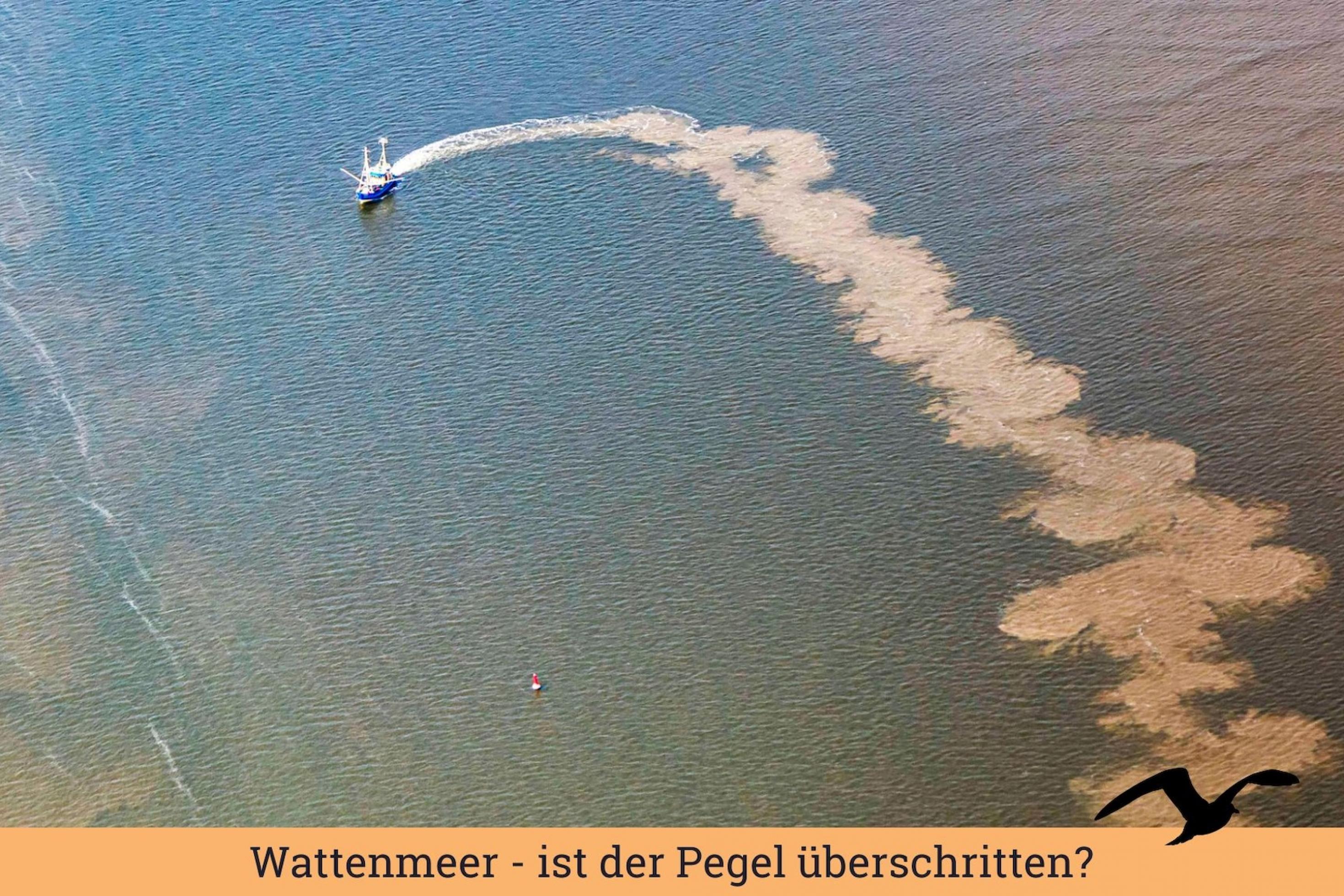 Luftbild eines Kutters, der eine breite. und lange Spur grauen Schlamms hinter sich herzieht.