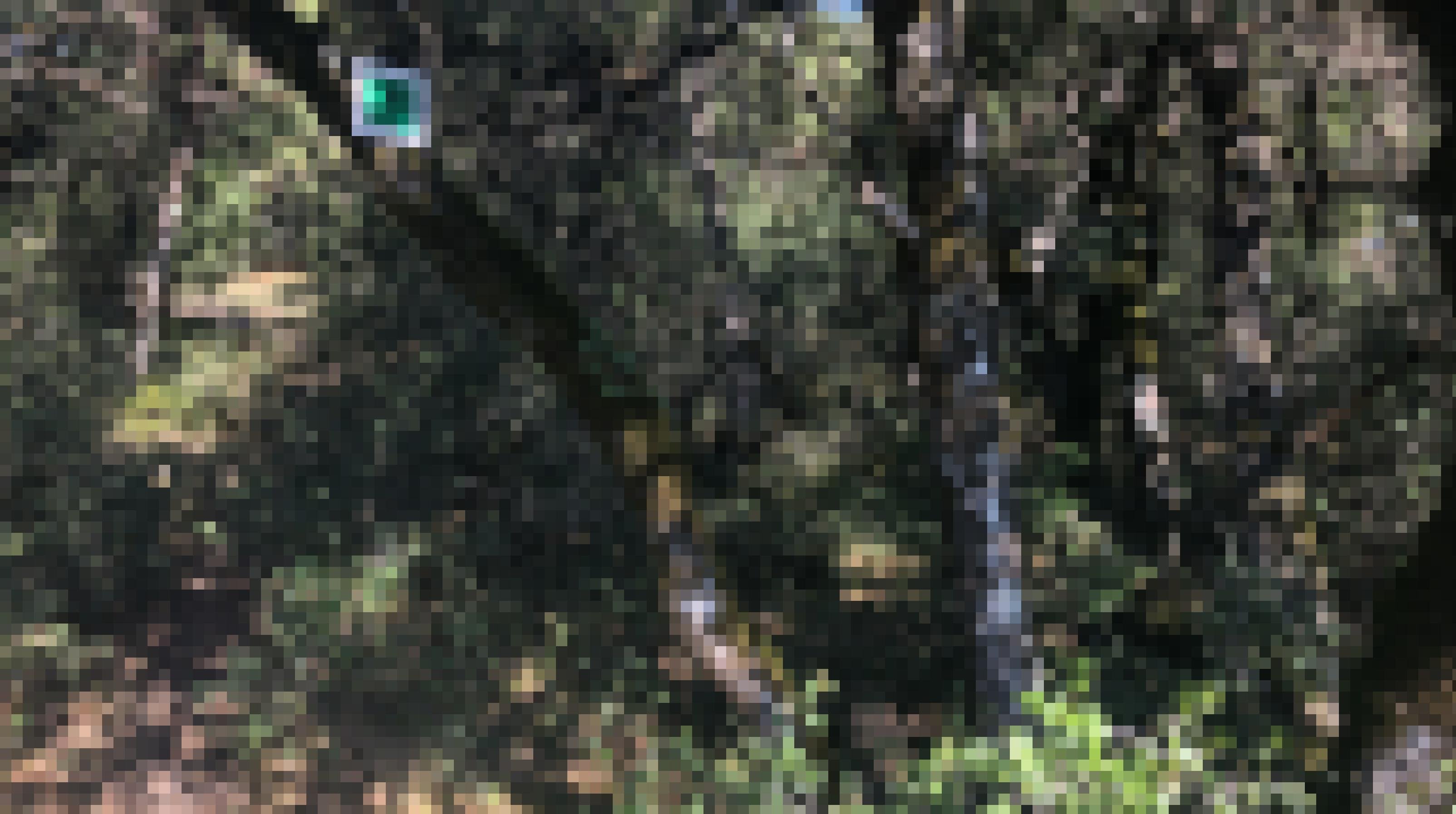 Ein SAt ragt über einen Weg, daran befestigt ein grünes Schild mit dem Menalon-Trail-Symbol.