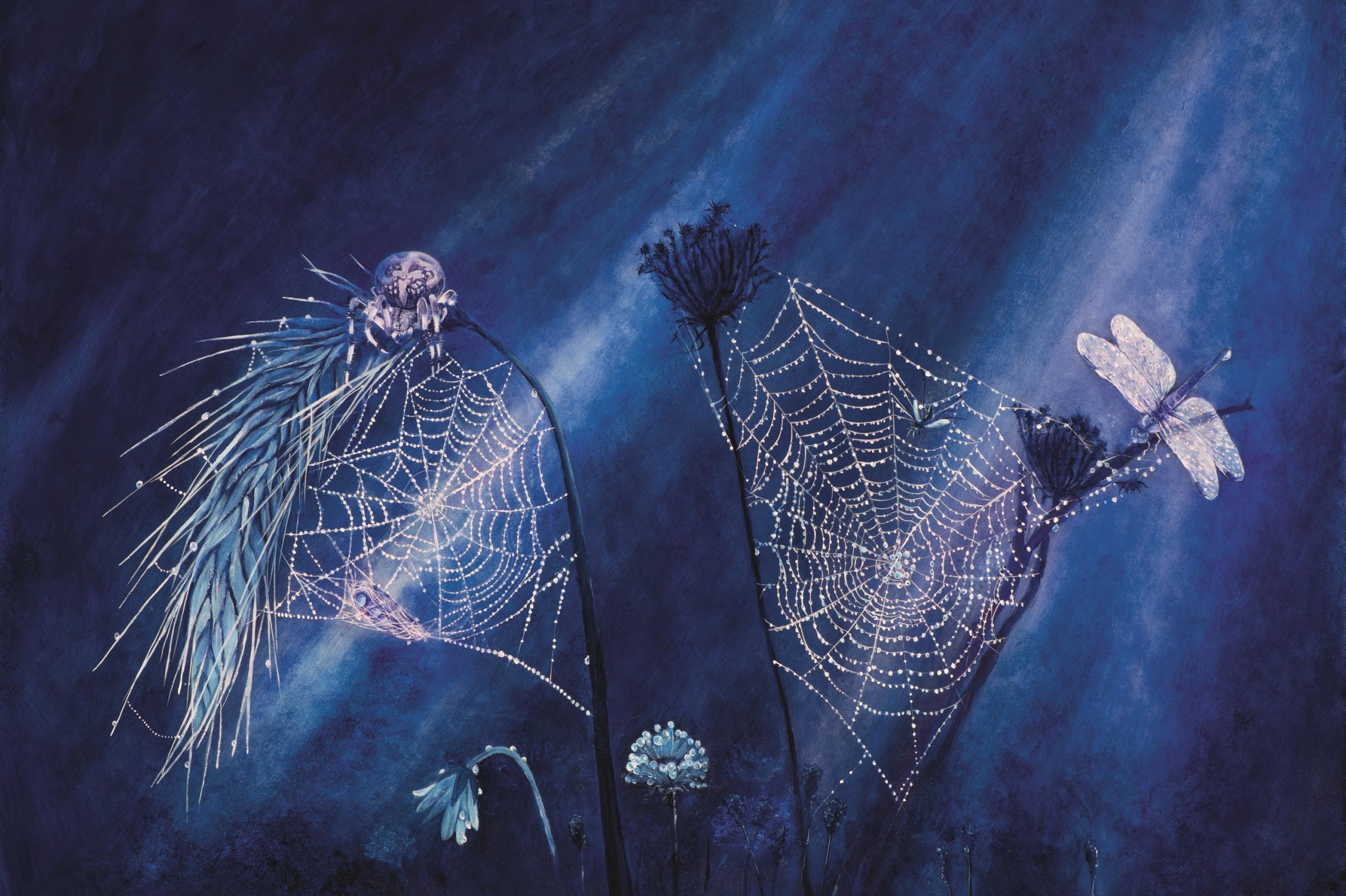 Ein monochrom blaues Ölbild zeigt eine dicke Kreuzspinne, die nachts auf einem Netz sitzt, das sie gerade webt.