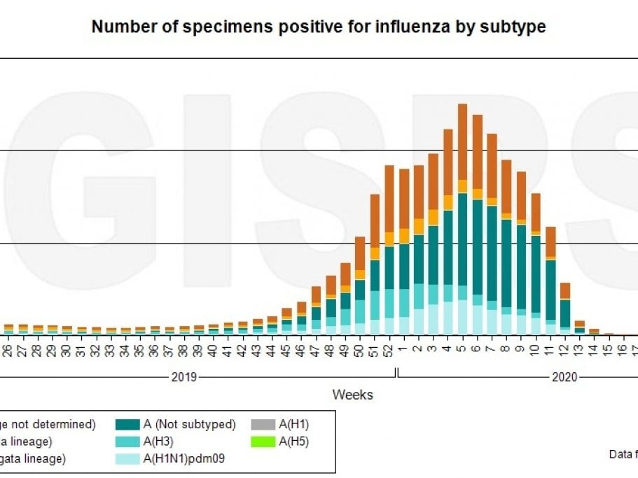 Wo Bleibt Die Grippe Im Sommer Wo Bleibt Die Grippe Im Sommer